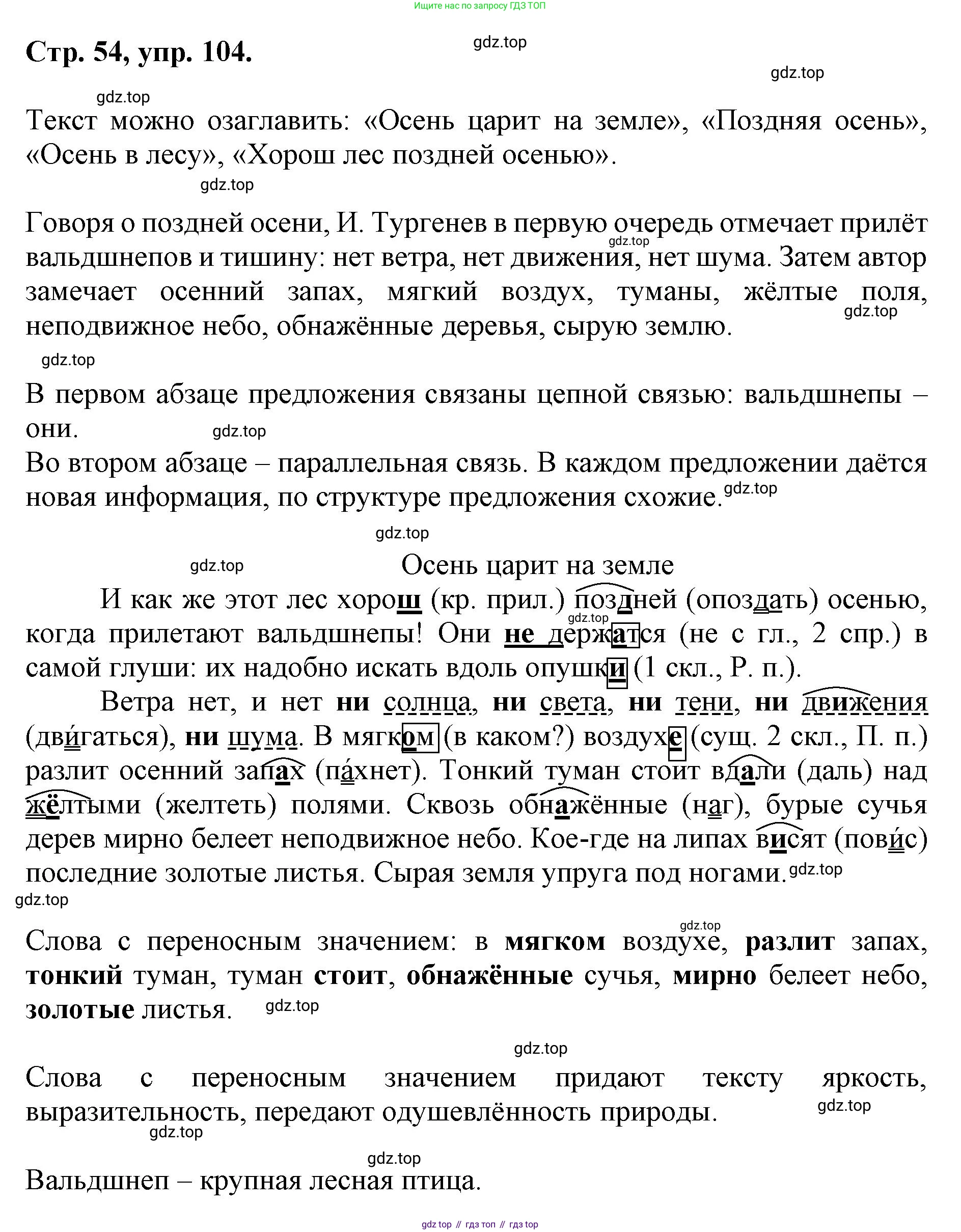 ГДЗ Русский язык, 6 класс Учебник, авторы: Баранов Михаил Трофимович, Ладыженская Таиса Алексеевна, Тростенцова Лидия Александровна, Ладыженская Наталия Вениаминовна, Дейкина Алевтина Дмитриевна, Антонова Любовь Геннадиевна, Григорян Лариса Трофимовна, Кулибаба Иван Иванович, издательство Просвещение, Москва, 2023, салатового цвета, Часть 1, страница 54, номер 104, Решение 1