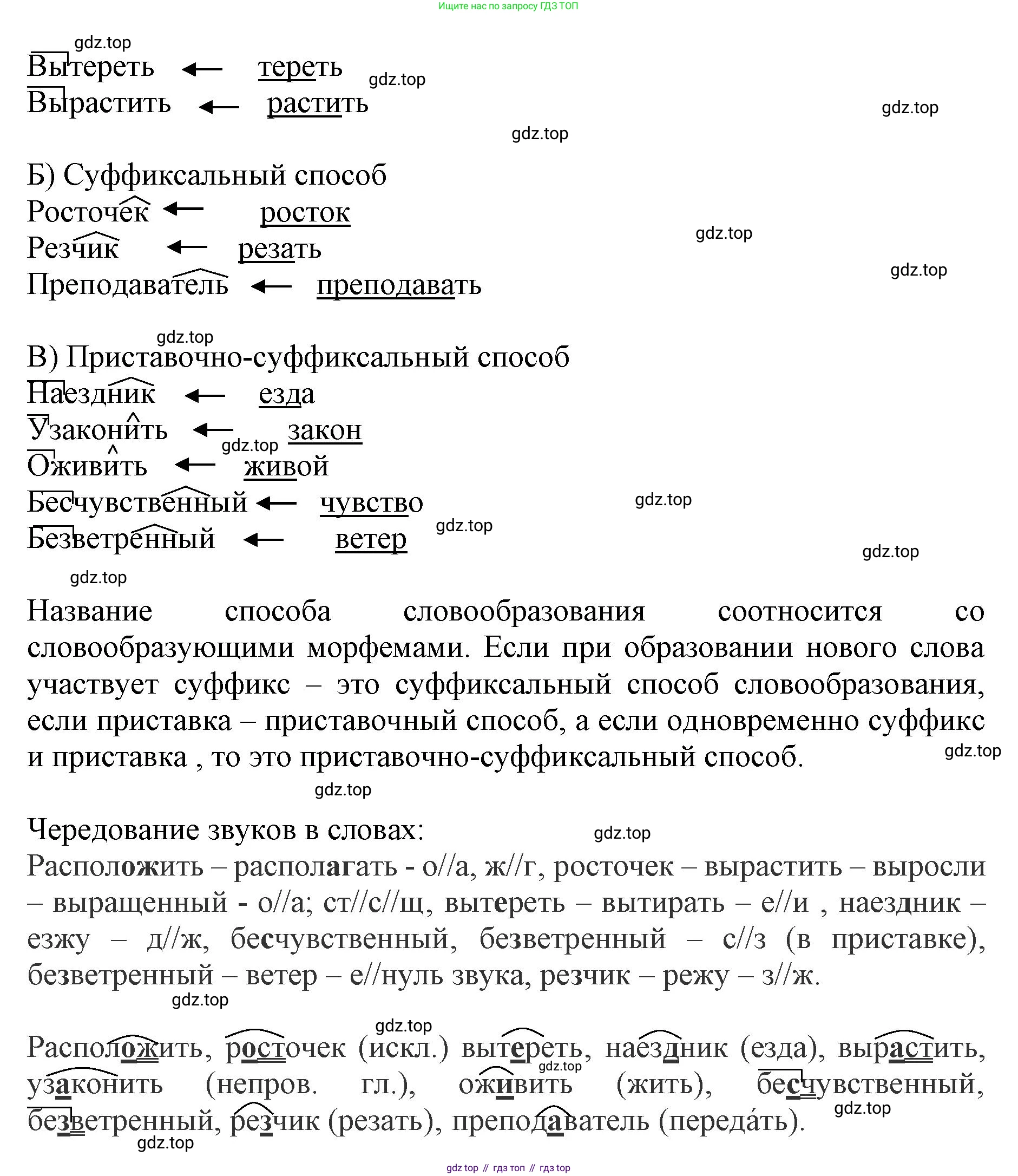 ГДЗ Русский язык, 6 класс Учебник, авторы: Баранов Михаил Трофимович, Ладыженская Таиса Алексеевна, Тростенцова Лидия Александровна, Ладыженская Наталия Вениаминовна, Дейкина Алевтина Дмитриевна, Антонова Любовь Геннадиевна, Григорян Лариса Трофимовна, Кулибаба Иван Иванович, издательство Просвещение, Москва, 2023, салатового цвета, Часть 1, страница 157, номер 304, Решение 1 (продолжение 2)