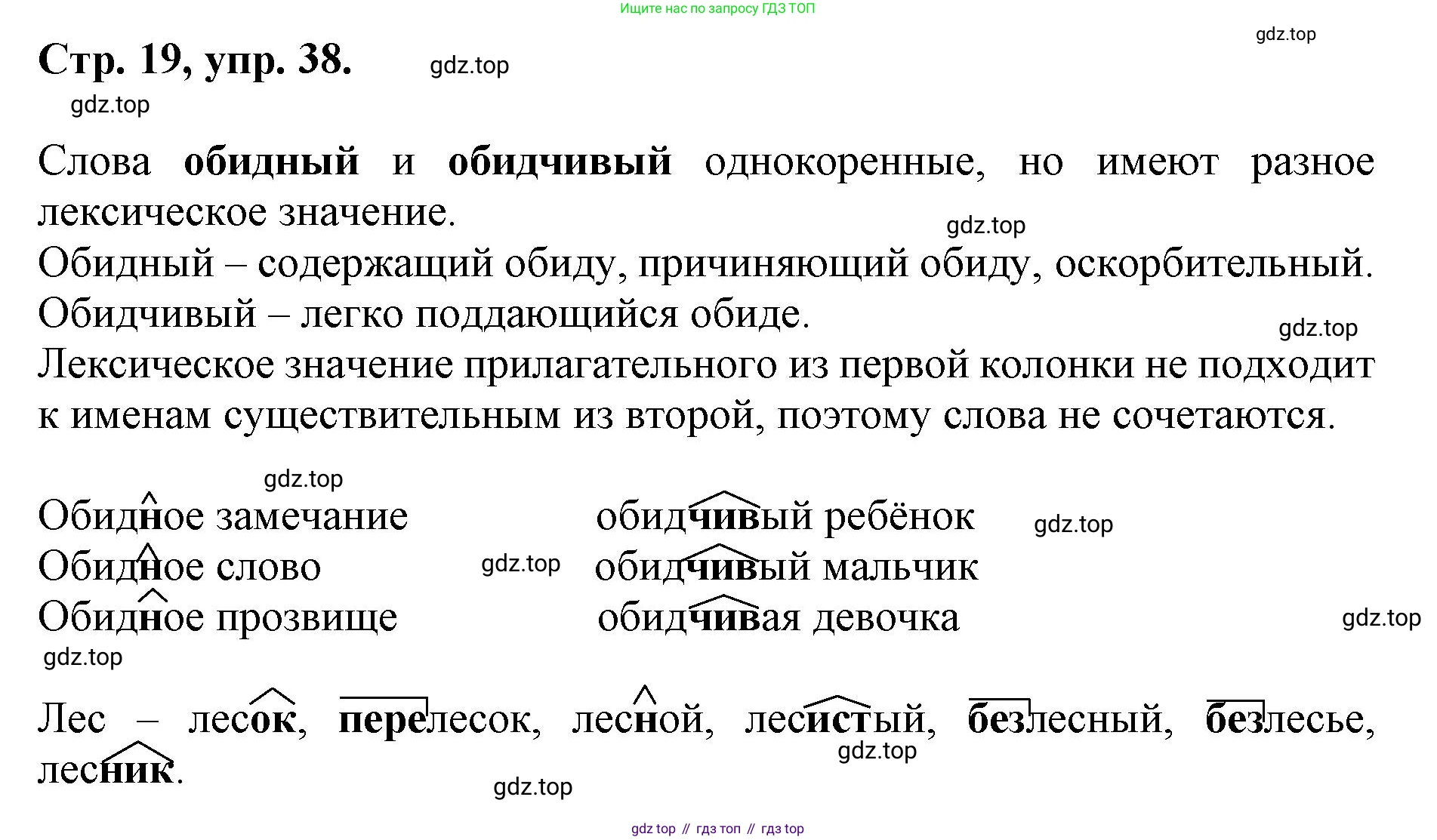ГДЗ Русский язык, 6 класс Учебник, авторы: Баранов Михаил Трофимович, Ладыженская Таиса Алексеевна, Тростенцова Лидия Александровна, Ладыженская Наталия Вениаминовна, Дейкина Алевтина Дмитриевна, Антонова Любовь Геннадиевна, Григорян Лариса Трофимовна, Кулибаба Иван Иванович, издательство Просвещение, Москва, 2023, салатового цвета, Часть 1, страница 19, номер 38, Решение 1