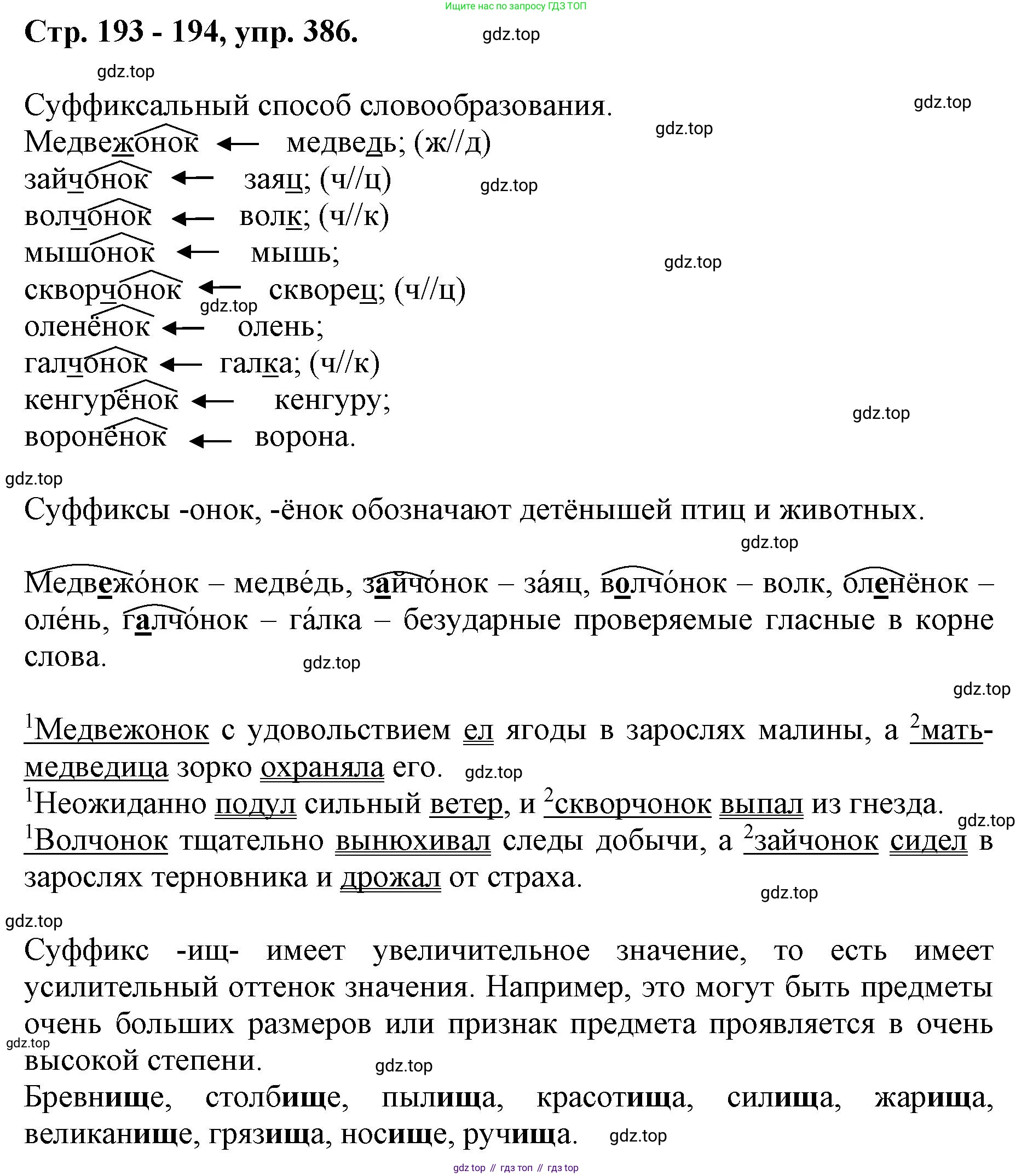 ГДЗ Русский язык, 6 класс Учебник, авторы: Баранов Михаил Трофимович, Ладыженская Таиса Алексеевна, Тростенцова Лидия Александровна, Ладыженская Наталия Вениаминовна, Дейкина Алевтина Дмитриевна, Антонова Любовь Геннадиевна, Григорян Лариса Трофимовна, Кулибаба Иван Иванович, издательство Просвещение, Москва, 2023, салатового цвета, Часть 1, страница 193, номер 386, Решение 1