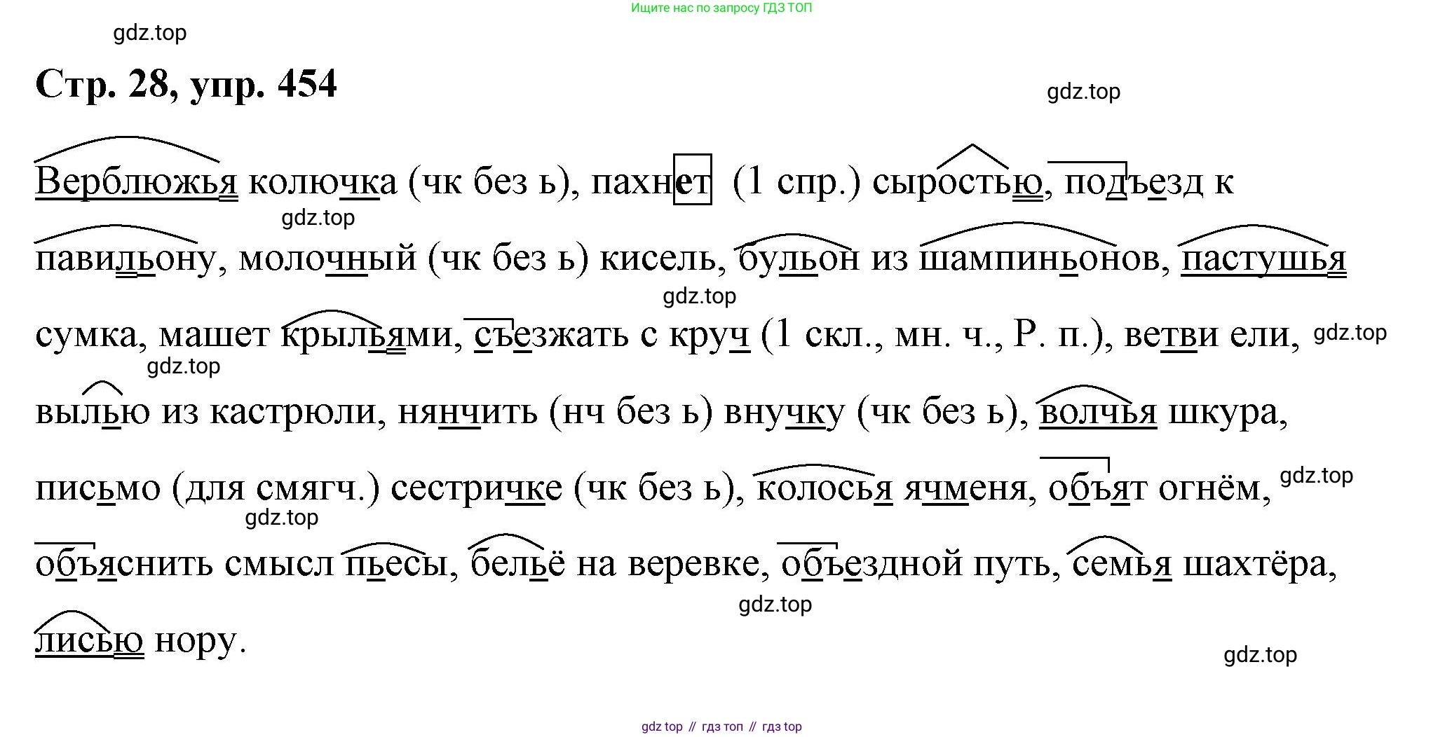 ГДЗ Русский язык, 6 класс Учебник, авторы: Баранов Михаил Трофимович, Ладыженская Таиса Алексеевна, Тростенцова Лидия Александровна, Ладыженская Наталия Вениаминовна, Дейкина Алевтина Дмитриевна, Антонова Любовь Геннадиевна, Григорян Лариса Трофимовна, Кулибаба Иван Иванович, издательство Просвещение, Москва, 2023, салатового цвета, Часть 2, страница 28, номер 454, Решение 1