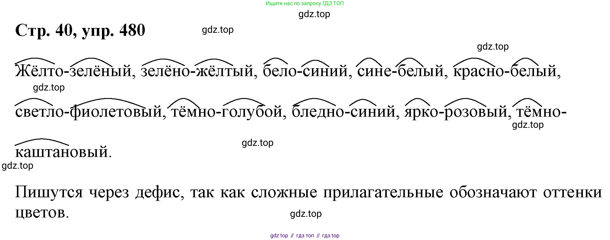 ГДЗ Русский язык, 6 класс Учебник, авторы: Баранов Михаил Трофимович, Ладыженская Таиса Алексеевна, Тростенцова Лидия Александровна, Ладыженская Наталия Вениаминовна, Дейкина Алевтина Дмитриевна, Антонова Любовь Геннадиевна, Григорян Лариса Трофимовна, Кулибаба Иван Иванович, издательство Просвещение, Москва, 2023, салатового цвета, Часть 2, страница 40, номер 480, Решение 1