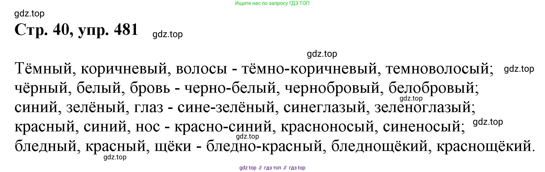 ГДЗ Русский язык, 6 класс Учебник, авторы: Баранов Михаил Трофимович, Ладыженская Таиса Алексеевна, Тростенцова Лидия Александровна, Ладыженская Наталия Вениаминовна, Дейкина Алевтина Дмитриевна, Антонова Любовь Геннадиевна, Григорян Лариса Трофимовна, Кулибаба Иван Иванович, издательство Просвещение, Москва, 2023, салатового цвета, Часть 2, страница 40, номер 481, Решение 1