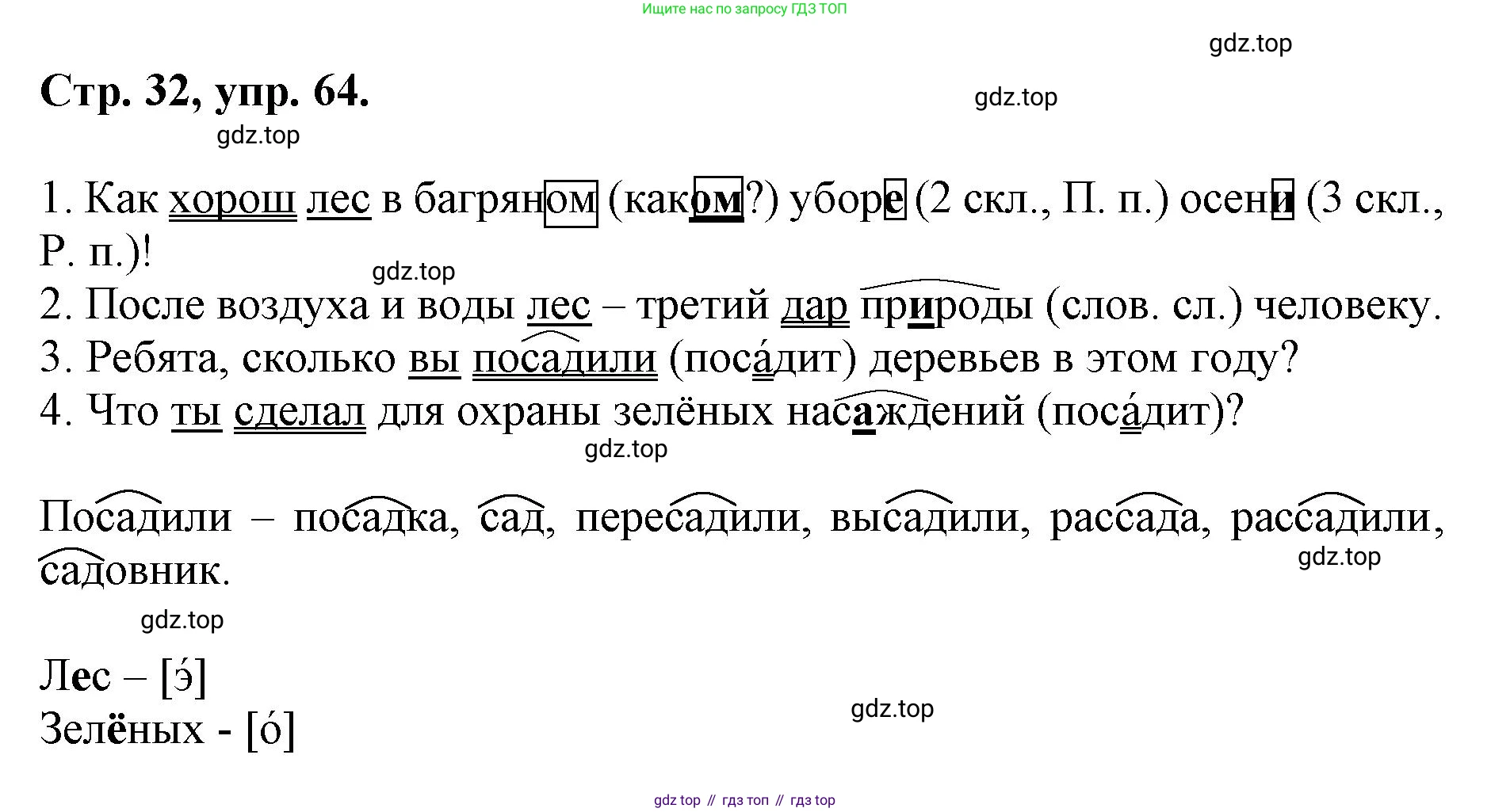 ГДЗ Русский язык, 6 класс Учебник, авторы: Баранов Михаил Трофимович, Ладыженская Таиса Алексеевна, Тростенцова Лидия Александровна, Ладыженская Наталия Вениаминовна, Дейкина Алевтина Дмитриевна, Антонова Любовь Геннадиевна, Григорян Лариса Трофимовна, Кулибаба Иван Иванович, издательство Просвещение, Москва, 2023, салатового цвета, Часть 1, страница 32, номер 64, Решение 1