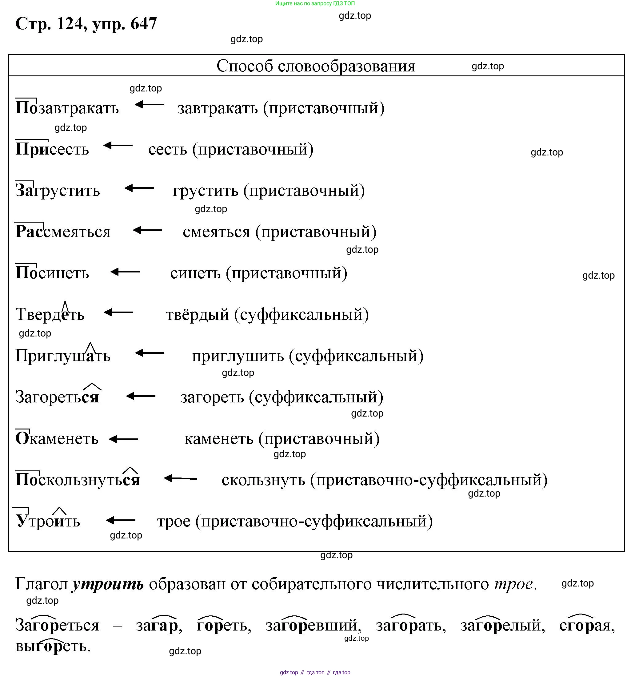 ГДЗ Русский язык, 6 класс Учебник, авторы: Баранов Михаил Трофимович, Ладыженская Таиса Алексеевна, Тростенцова Лидия Александровна, Ладыженская Наталия Вениаминовна, Дейкина Алевтина Дмитриевна, Антонова Любовь Геннадиевна, Григорян Лариса Трофимовна, Кулибаба Иван Иванович, издательство Просвещение, Москва, 2023, салатового цвета, Часть 2, страница 124, номер 647, Решение 1