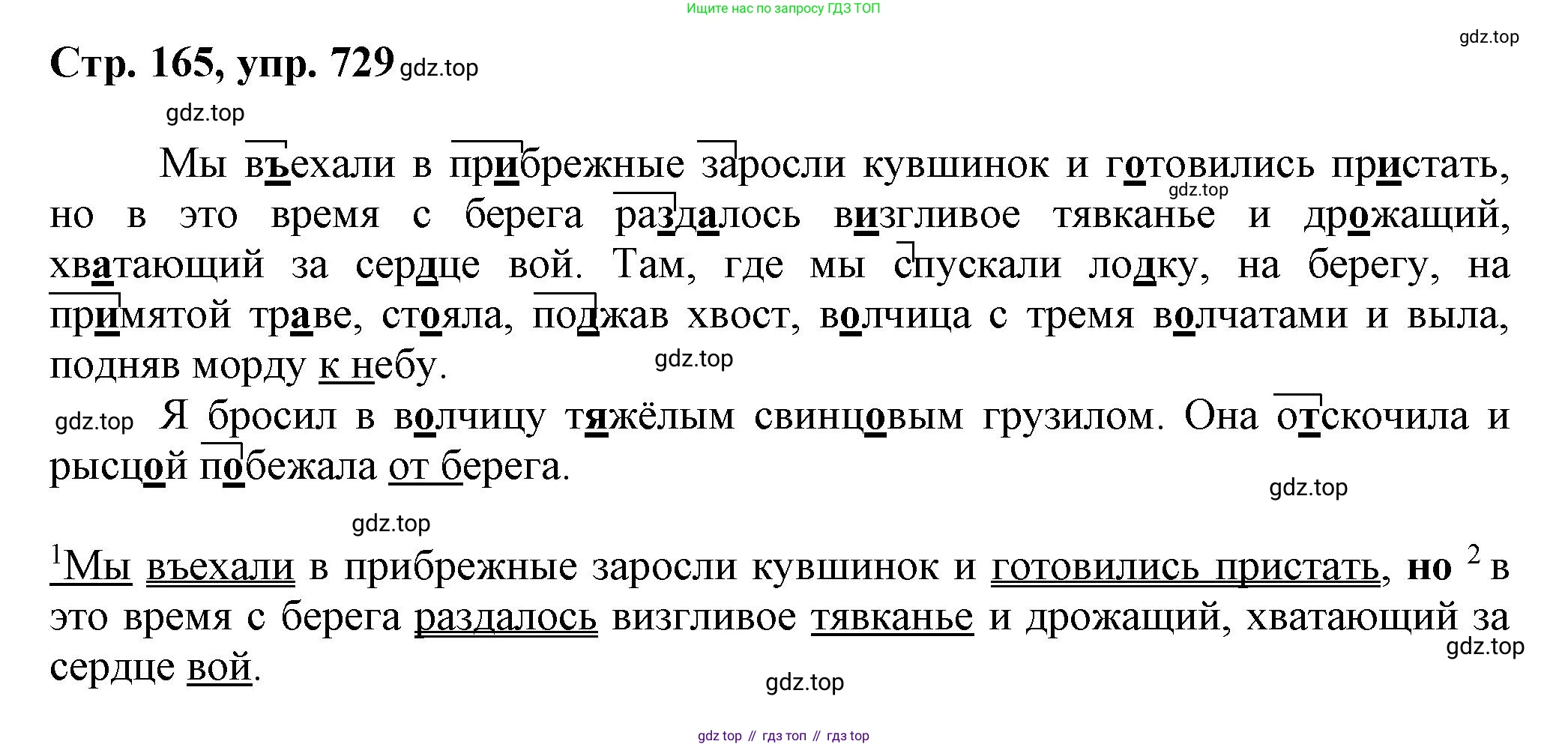 ГДЗ Русский язык, 6 класс Учебник, авторы: Баранов Михаил Трофимович, Ладыженская Таиса Алексеевна, Тростенцова Лидия Александровна, Ладыженская Наталия Вениаминовна, Дейкина Алевтина Дмитриевна, Антонова Любовь Геннадиевна, Григорян Лариса Трофимовна, Кулибаба Иван Иванович, издательство Просвещение, Москва, 2023, салатового цвета, Часть 2, страница 165, номер 729, Решение 1