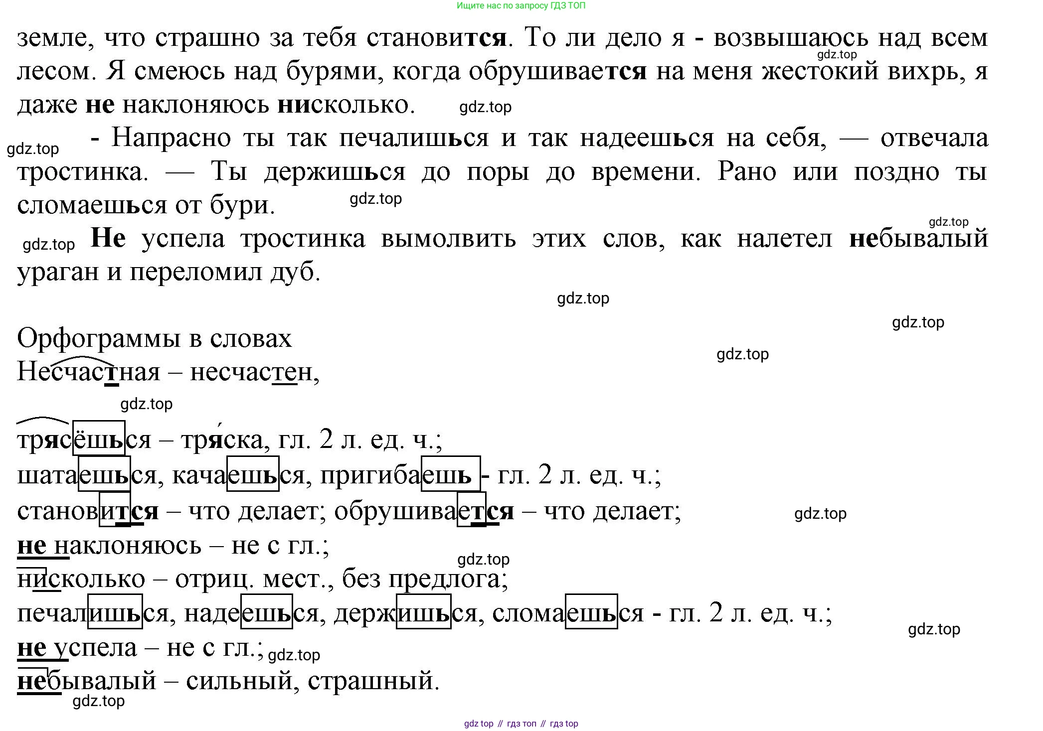 ГДЗ Русский язык, 6 класс Учебник, авторы: Баранов Михаил Трофимович, Ладыженская Таиса Алексеевна, Тростенцова Лидия Александровна, Ладыженская Наталия Вениаминовна, Дейкина Алевтина Дмитриевна, Антонова Любовь Геннадиевна, Григорян Лариса Трофимовна, Кулибаба Иван Иванович, издательство Просвещение, Москва, 2023, салатового цвета, Часть 2, страница 166, номер 735, Решение 1 (продолжение 2)