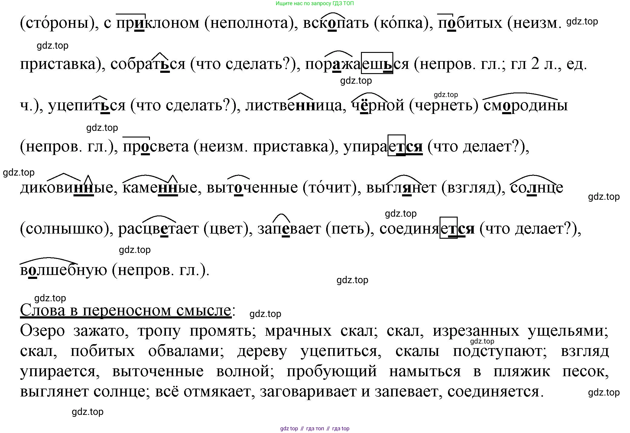 ГДЗ Русский язык, 6 класс Учебник, авторы: Баранов Михаил Трофимович, Ладыженская Таиса Алексеевна, Тростенцова Лидия Александровна, Ладыженская Наталия Вениаминовна, Дейкина Алевтина Дмитриевна, Антонова Любовь Геннадиевна, Григорян Лариса Трофимовна, Кулибаба Иван Иванович, издательство Просвещение, Москва, 2023, салатового цвета, Часть 2, страница 168, номер 741, Решение 1 (продолжение 2)