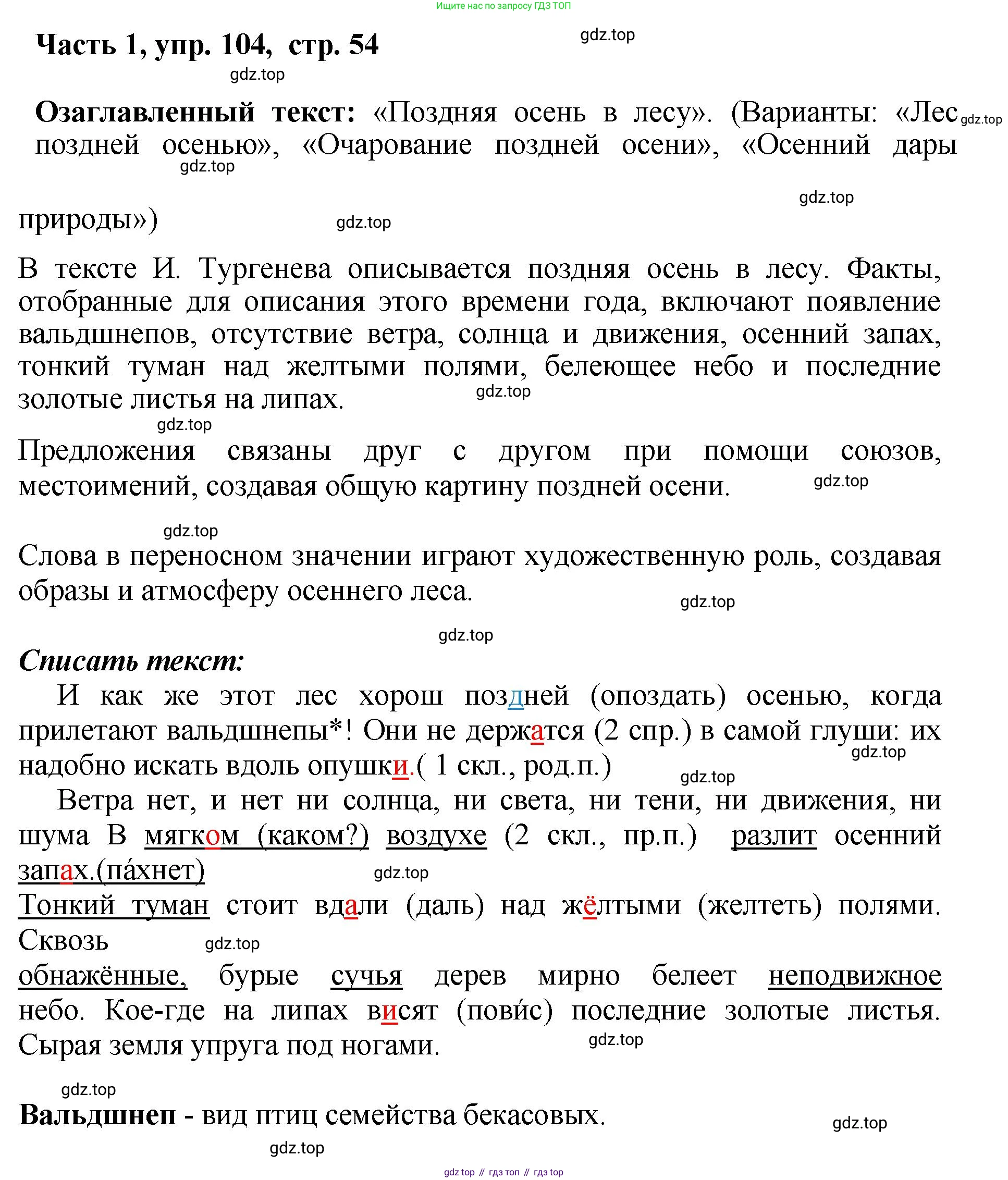 ГДЗ Русский язык, 6 класс Учебник, авторы: Баранов Михаил Трофимович, Ладыженская Таиса Алексеевна, Тростенцова Лидия Александровна, Ладыженская Наталия Вениаминовна, Дейкина Алевтина Дмитриевна, Антонова Любовь Геннадиевна, Григорян Лариса Трофимовна, Кулибаба Иван Иванович, издательство Просвещение, Москва, 2023, салатового цвета, Часть 1, страница 54, номер 104, Решение 2