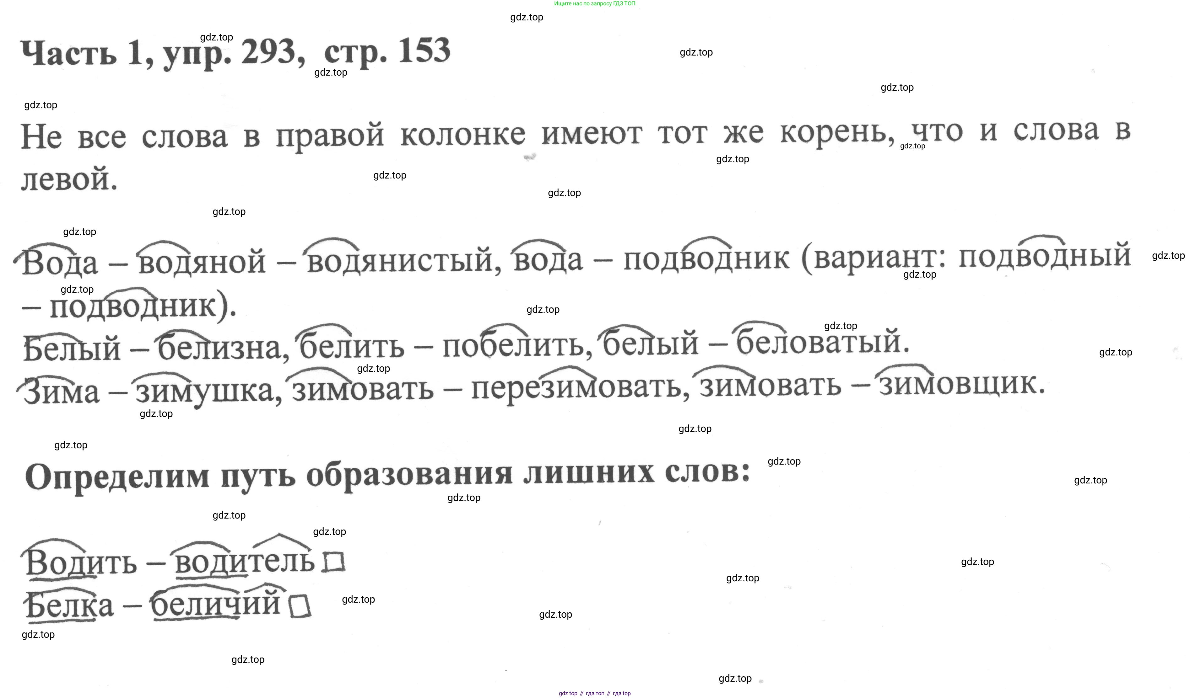 ГДЗ Русский язык, 6 класс Учебник, авторы: Баранов Михаил Трофимович, Ладыженская Таиса Алексеевна, Тростенцова Лидия Александровна, Ладыженская Наталия Вениаминовна, Дейкина Алевтина Дмитриевна, Антонова Любовь Геннадиевна, Григорян Лариса Трофимовна, Кулибаба Иван Иванович, издательство Просвещение, Москва, 2023, салатового цвета, Часть 1, страница 153, номер 293, Решение 2