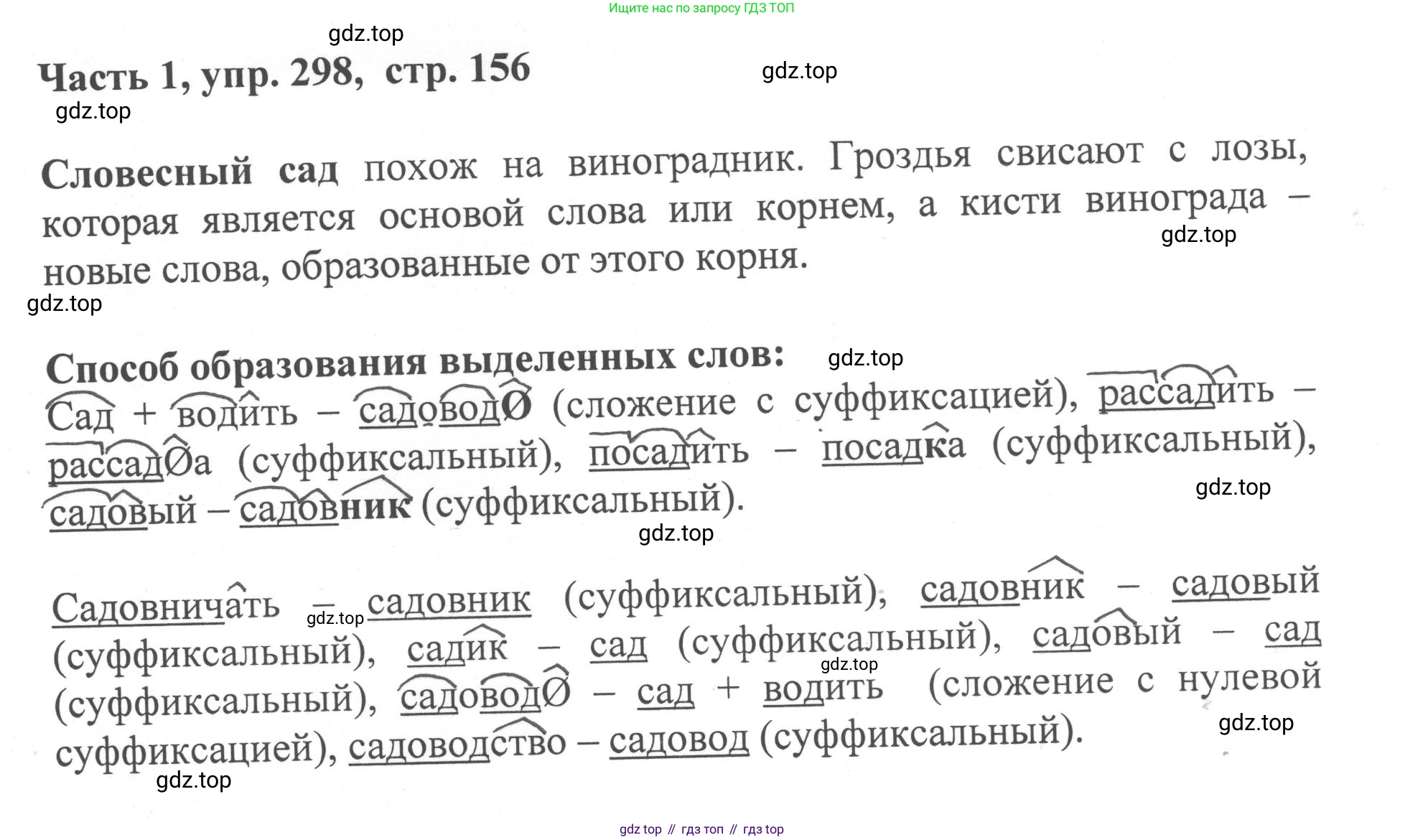 ГДЗ Русский язык, 6 класс Учебник, авторы: Баранов Михаил Трофимович, Ладыженская Таиса Алексеевна, Тростенцова Лидия Александровна, Ладыженская Наталия Вениаминовна, Дейкина Алевтина Дмитриевна, Антонова Любовь Геннадиевна, Григорян Лариса Трофимовна, Кулибаба Иван Иванович, издательство Просвещение, Москва, 2023, салатового цвета, Часть 1, страница 156, номер 298, Решение 2