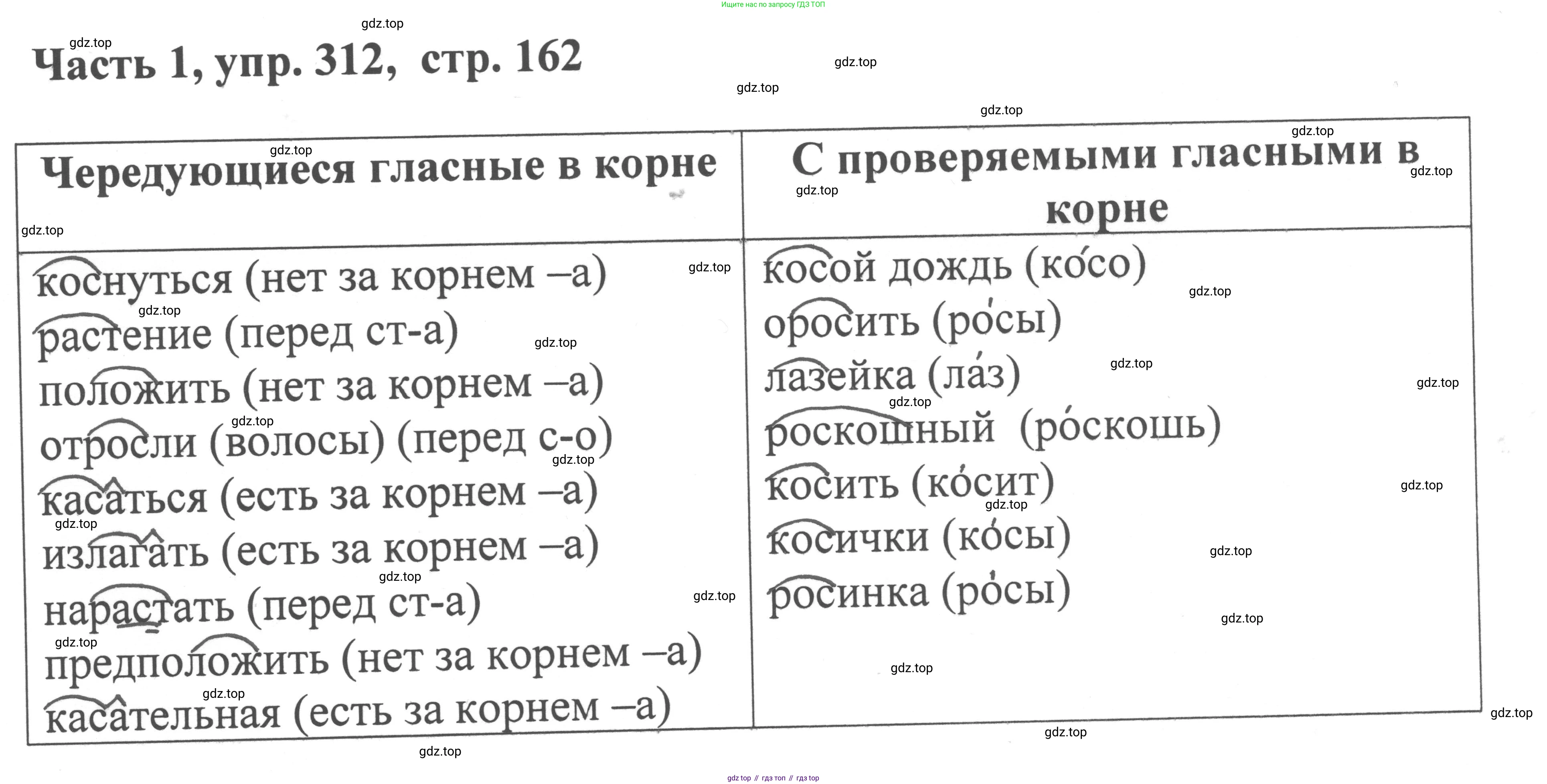 ГДЗ Русский язык, 6 класс Учебник, авторы: Баранов Михаил Трофимович, Ладыженская Таиса Алексеевна, Тростенцова Лидия Александровна, Ладыженская Наталия Вениаминовна, Дейкина Алевтина Дмитриевна, Антонова Любовь Геннадиевна, Григорян Лариса Трофимовна, Кулибаба Иван Иванович, издательство Просвещение, Москва, 2023, салатового цвета, Часть 1, страница 162, номер 312, Решение 2