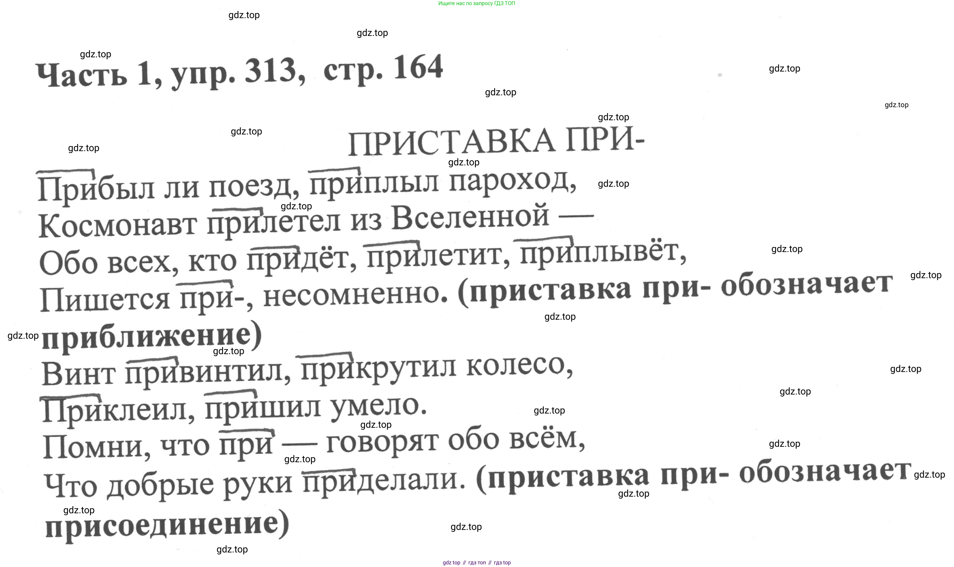 ГДЗ Русский язык, 6 класс Учебник, авторы: Баранов Михаил Трофимович, Ладыженская Таиса Алексеевна, Тростенцова Лидия Александровна, Ладыженская Наталия Вениаминовна, Дейкина Алевтина Дмитриевна, Антонова Любовь Геннадиевна, Григорян Лариса Трофимовна, Кулибаба Иван Иванович, издательство Просвещение, Москва, 2023, салатового цвета, Часть 1, страница 164, номер 313, Решение 2