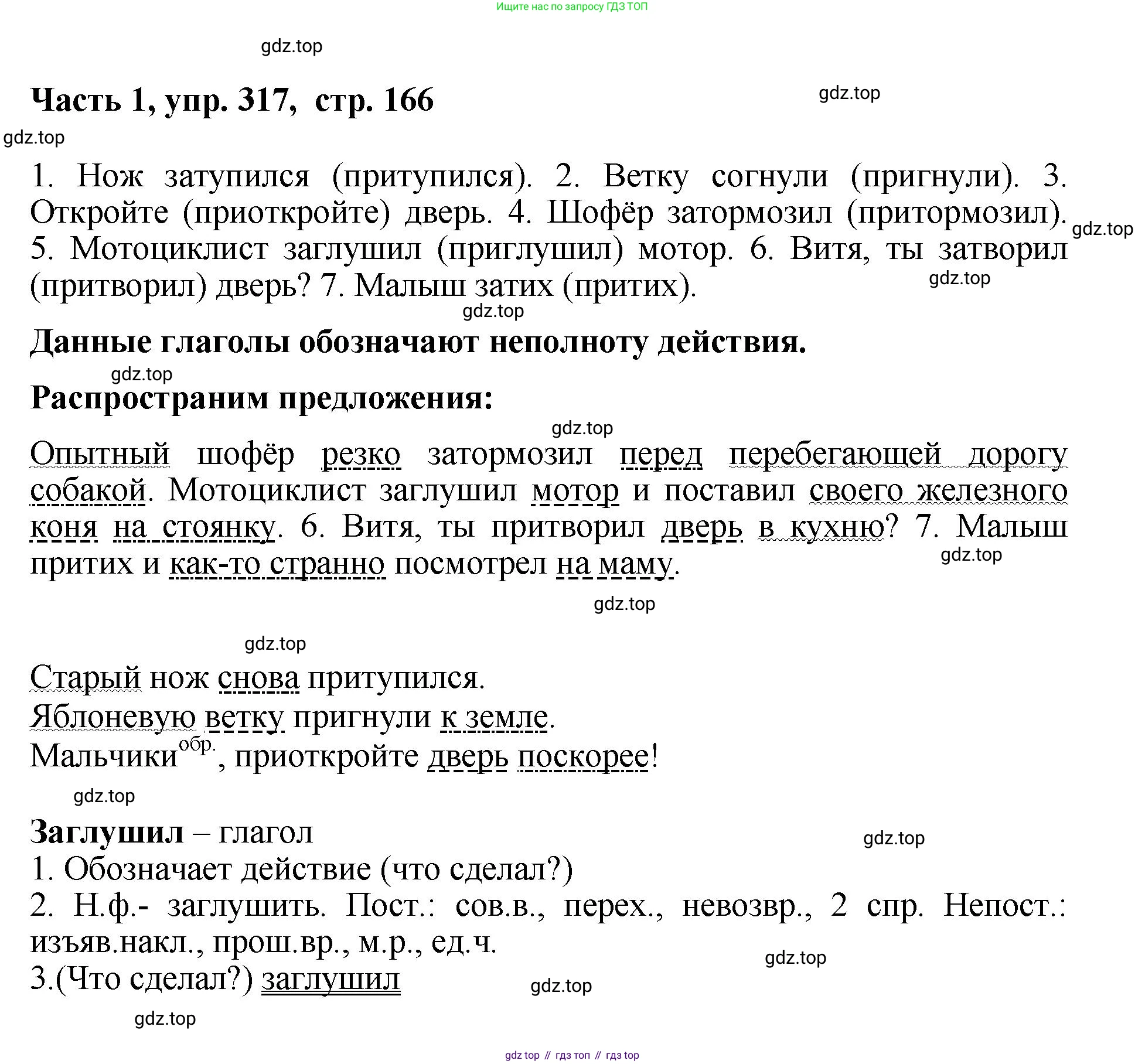 ГДЗ Русский язык, 6 класс Учебник, авторы: Баранов Михаил Трофимович, Ладыженская Таиса Алексеевна, Тростенцова Лидия Александровна, Ладыженская Наталия Вениаминовна, Дейкина Алевтина Дмитриевна, Антонова Любовь Геннадиевна, Григорян Лариса Трофимовна, Кулибаба Иван Иванович, издательство Просвещение, Москва, 2023, салатового цвета, Часть 1, страница 166, номер 317, Решение 2