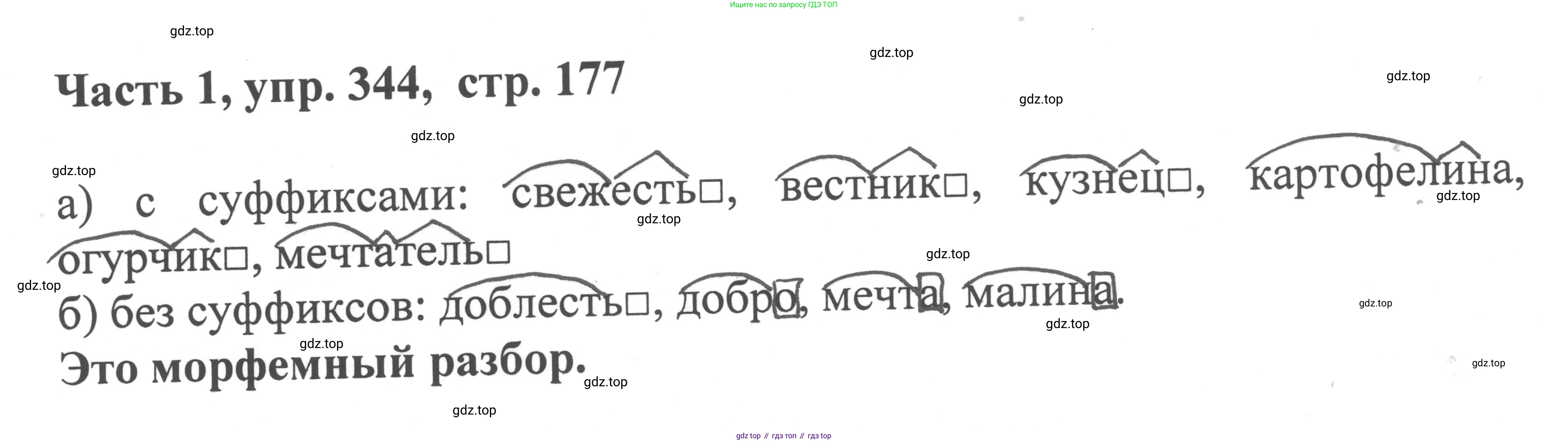 ГДЗ Русский язык, 6 класс Учебник, авторы: Баранов Михаил Трофимович, Ладыженская Таиса Алексеевна, Тростенцова Лидия Александровна, Ладыженская Наталия Вениаминовна, Дейкина Алевтина Дмитриевна, Антонова Любовь Геннадиевна, Григорян Лариса Трофимовна, Кулибаба Иван Иванович, издательство Просвещение, Москва, 2023, салатового цвета, Часть 1, страница 177, номер 344, Решение 2