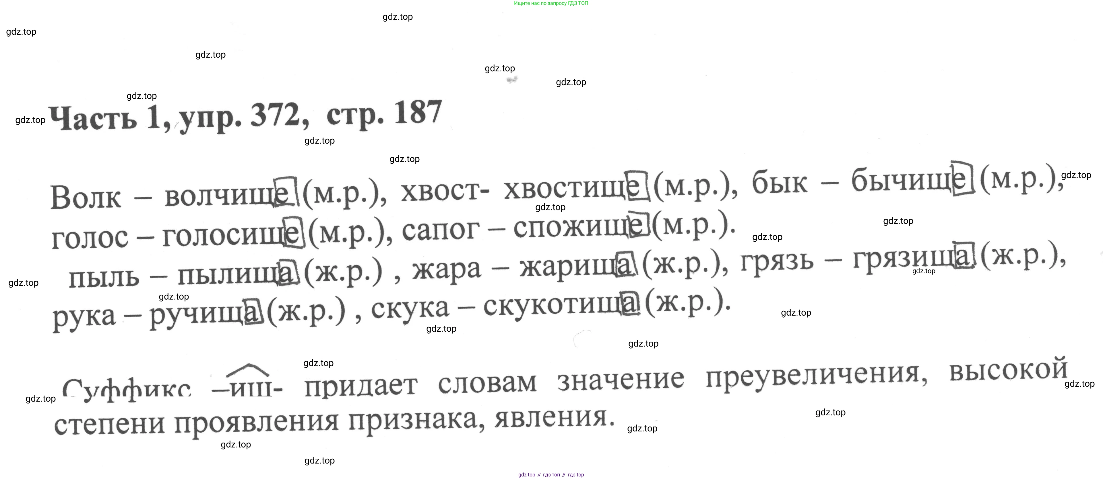 ГДЗ Русский язык, 6 класс Учебник, авторы: Баранов Михаил Трофимович, Ладыженская Таиса Алексеевна, Тростенцова Лидия Александровна, Ладыженская Наталия Вениаминовна, Дейкина Алевтина Дмитриевна, Антонова Любовь Геннадиевна, Григорян Лариса Трофимовна, Кулибаба Иван Иванович, издательство Просвещение, Москва, 2023, салатового цвета, Часть 1, страница 187, номер 372, Решение 2