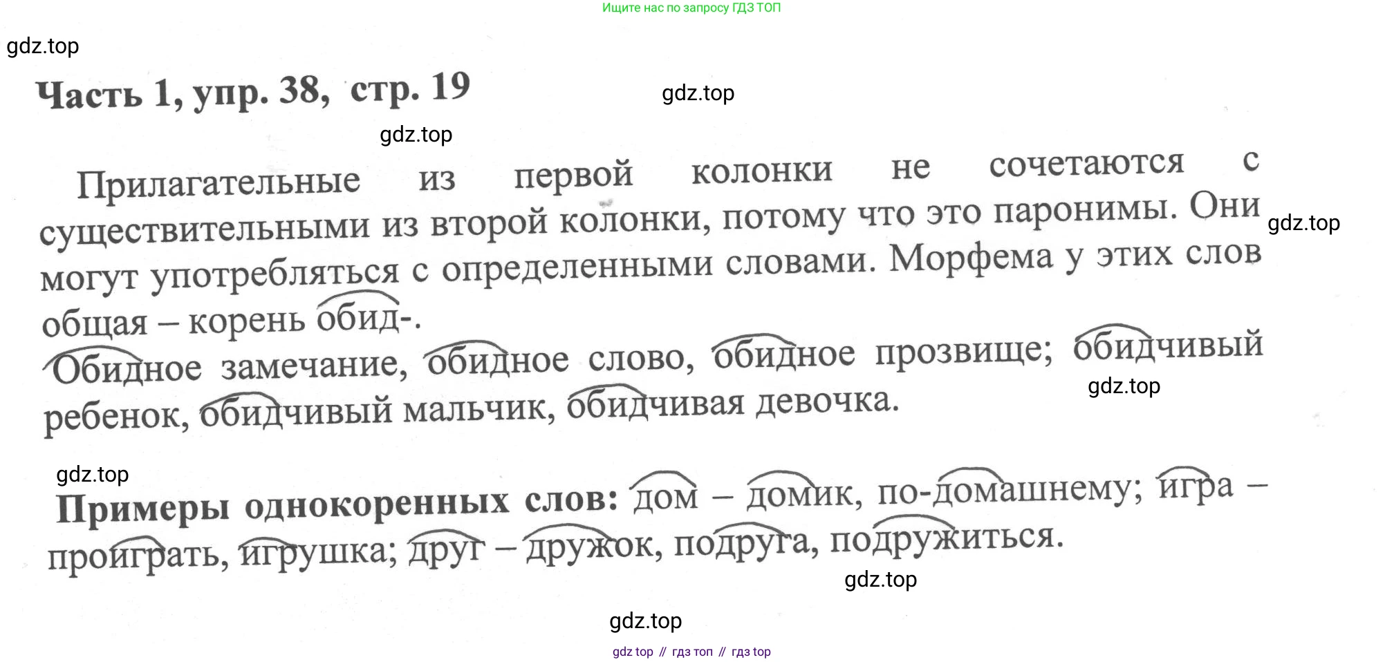 ГДЗ Русский язык, 6 класс Учебник, авторы: Баранов Михаил Трофимович, Ладыженская Таиса Алексеевна, Тростенцова Лидия Александровна, Ладыженская Наталия Вениаминовна, Дейкина Алевтина Дмитриевна, Антонова Любовь Геннадиевна, Григорян Лариса Трофимовна, Кулибаба Иван Иванович, издательство Просвещение, Москва, 2023, салатового цвета, Часть 1, страница 19, номер 38, Решение 2