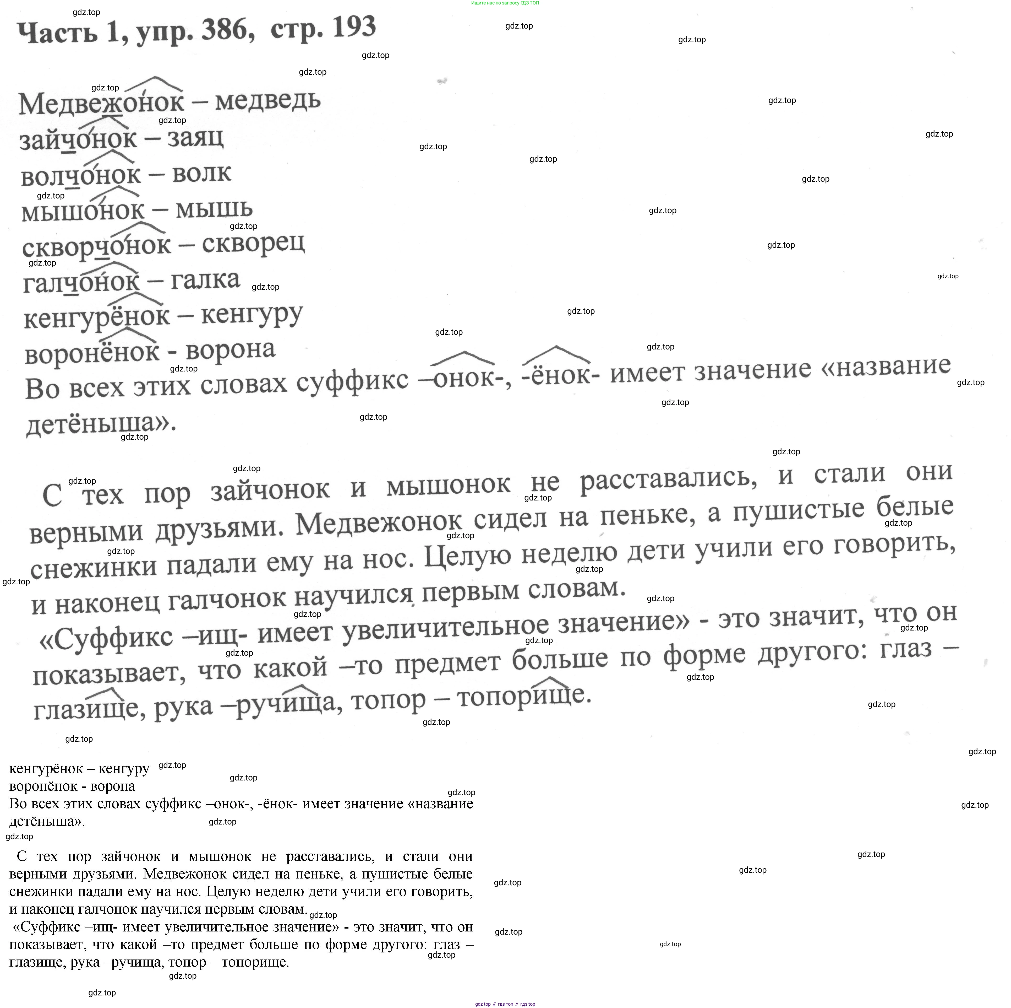 ГДЗ Русский язык, 6 класс Учебник, авторы: Баранов Михаил Трофимович, Ладыженская Таиса Алексеевна, Тростенцова Лидия Александровна, Ладыженская Наталия Вениаминовна, Дейкина Алевтина Дмитриевна, Антонова Любовь Геннадиевна, Григорян Лариса Трофимовна, Кулибаба Иван Иванович, издательство Просвещение, Москва, 2023, салатового цвета, Часть 1, страница 193, номер 386, Решение 2