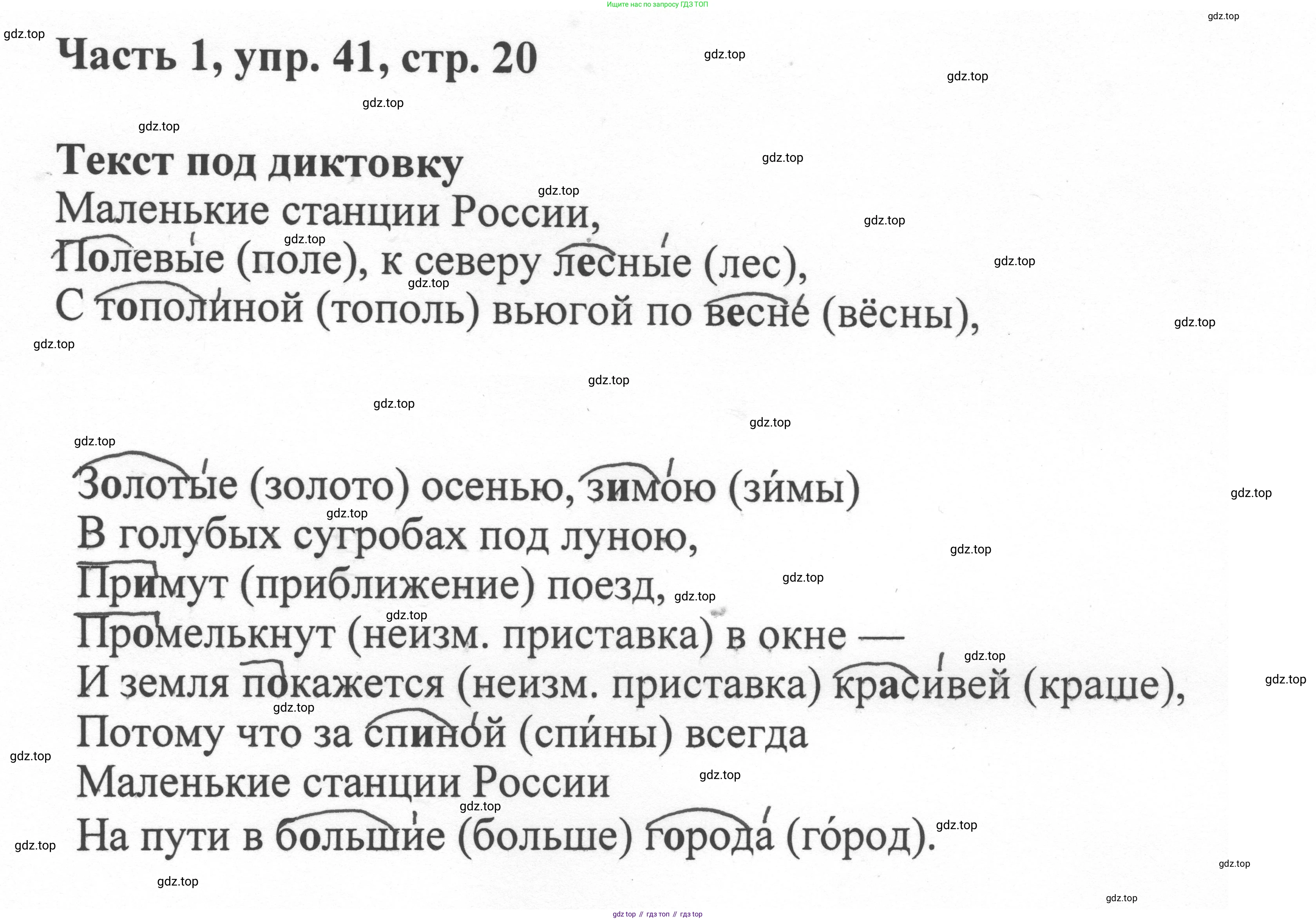 ГДЗ Русский язык, 6 класс Учебник, авторы: Баранов Михаил Трофимович, Ладыженская Таиса Алексеевна, Тростенцова Лидия Александровна, Ладыженская Наталия Вениаминовна, Дейкина Алевтина Дмитриевна, Антонова Любовь Геннадиевна, Григорян Лариса Трофимовна, Кулибаба Иван Иванович, издательство Просвещение, Москва, 2023, салатового цвета, Часть 1, страница 20, номер 41, Решение 2