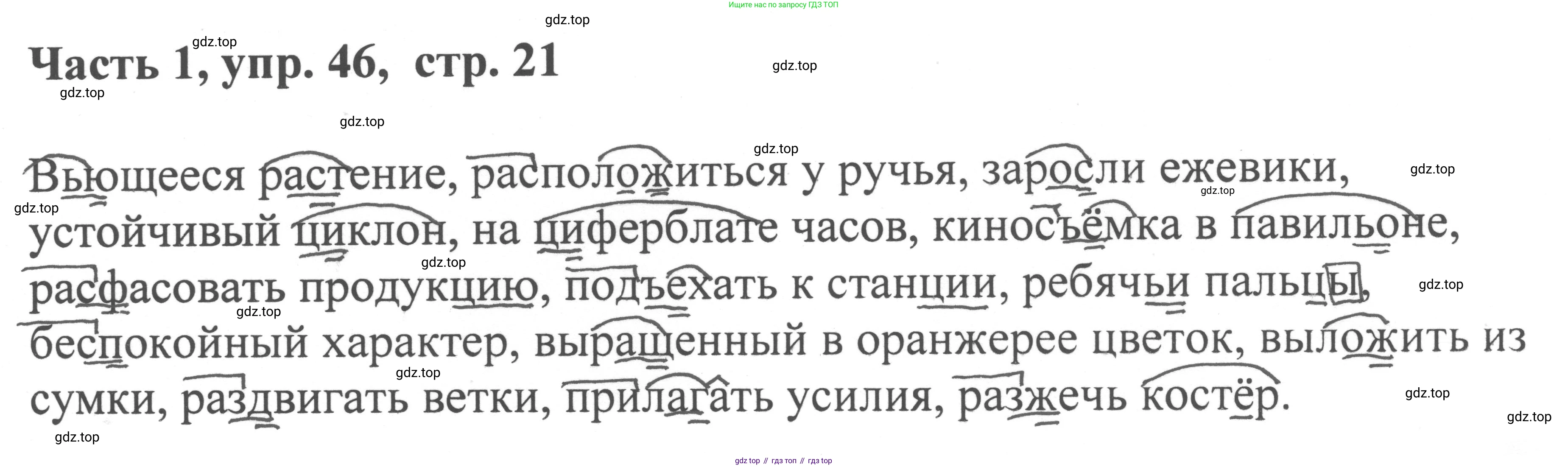 ГДЗ Русский язык, 6 класс Учебник, авторы: Баранов Михаил Трофимович, Ладыженская Таиса Алексеевна, Тростенцова Лидия Александровна, Ладыженская Наталия Вениаминовна, Дейкина Алевтина Дмитриевна, Антонова Любовь Геннадиевна, Григорян Лариса Трофимовна, Кулибаба Иван Иванович, издательство Просвещение, Москва, 2023, салатового цвета, Часть 1, страница 21, номер 46, Решение 2