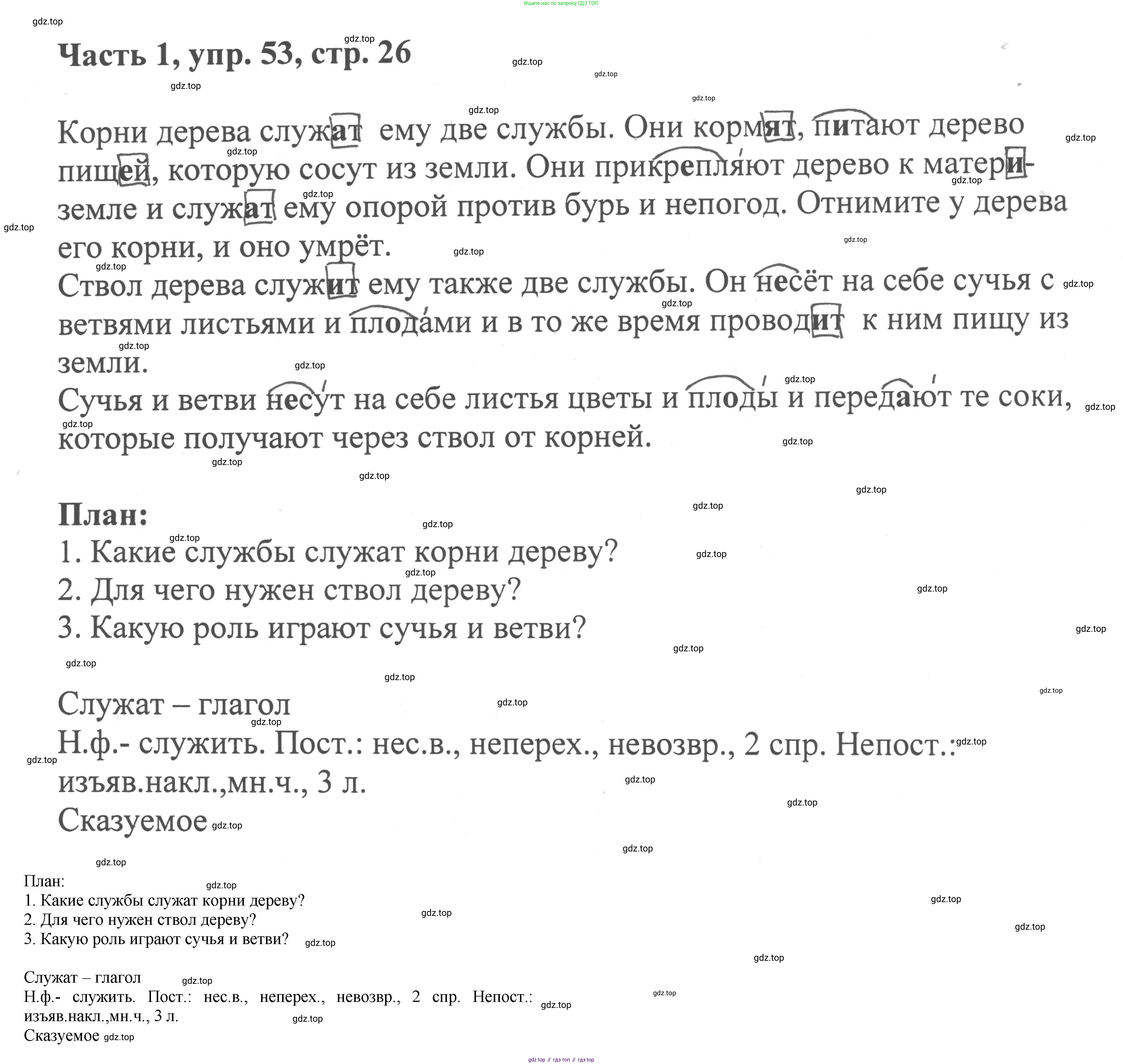 ГДЗ Русский язык, 6 класс Учебник, авторы: Баранов Михаил Трофимович, Ладыженская Таиса Алексеевна, Тростенцова Лидия Александровна, Ладыженская Наталия Вениаминовна, Дейкина Алевтина Дмитриевна, Антонова Любовь Геннадиевна, Григорян Лариса Трофимовна, Кулибаба Иван Иванович, издательство Просвещение, Москва, 2023, салатового цвета, Часть 1, страница 26, номер 53, Решение 2