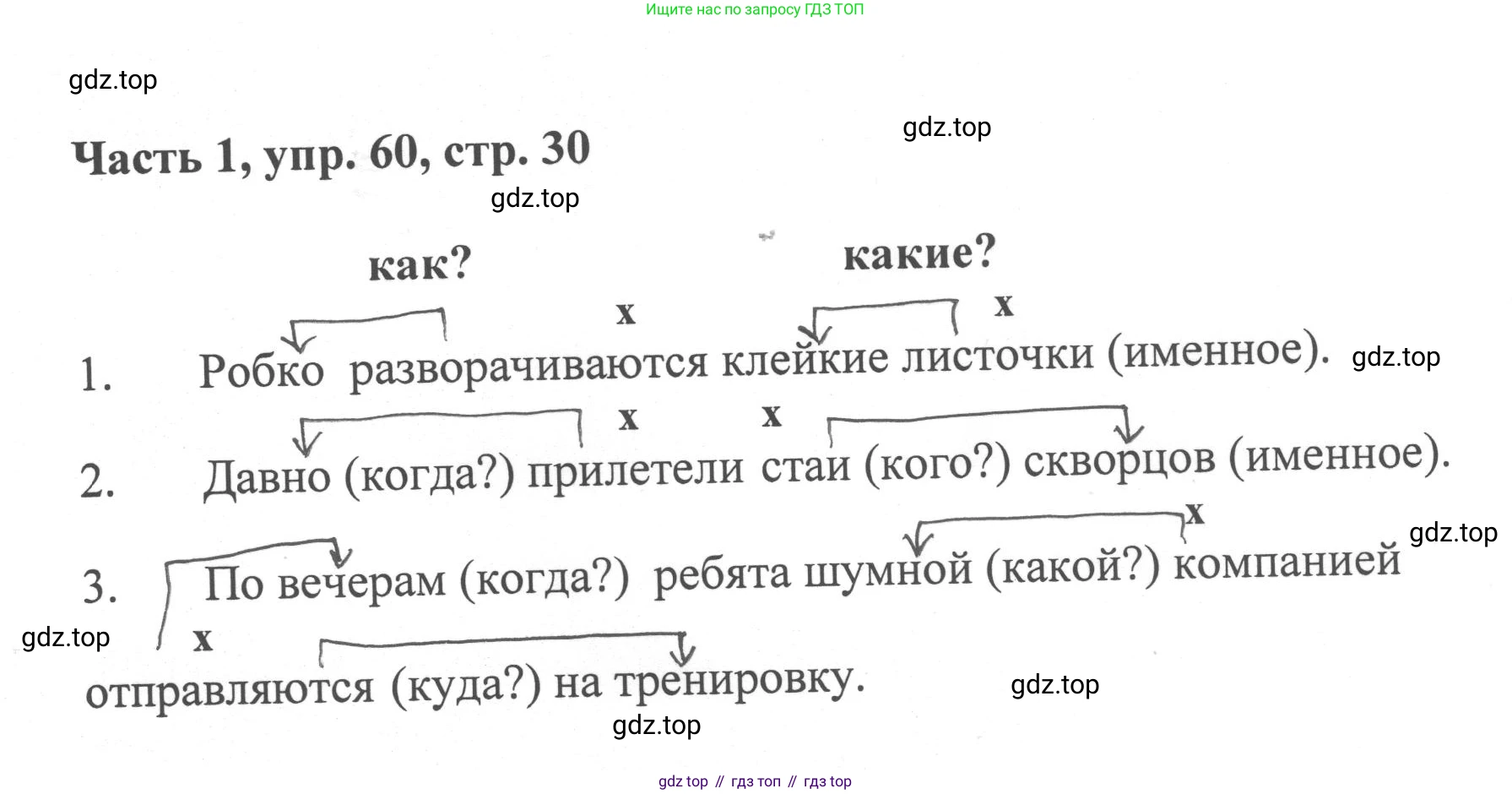 ГДЗ Русский язык, 6 класс Учебник, авторы: Баранов Михаил Трофимович, Ладыженская Таиса Алексеевна, Тростенцова Лидия Александровна, Ладыженская Наталия Вениаминовна, Дейкина Алевтина Дмитриевна, Антонова Любовь Геннадиевна, Григорян Лариса Трофимовна, Кулибаба Иван Иванович, издательство Просвещение, Москва, 2023, салатового цвета, Часть 1, страница 30, номер 60, Решение 2