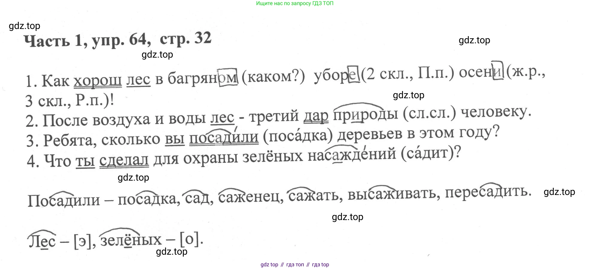 ГДЗ Русский язык, 6 класс Учебник, авторы: Баранов Михаил Трофимович, Ладыженская Таиса Алексеевна, Тростенцова Лидия Александровна, Ладыженская Наталия Вениаминовна, Дейкина Алевтина Дмитриевна, Антонова Любовь Геннадиевна, Григорян Лариса Трофимовна, Кулибаба Иван Иванович, издательство Просвещение, Москва, 2023, салатового цвета, Часть 1, страница 32, номер 64, Решение 2