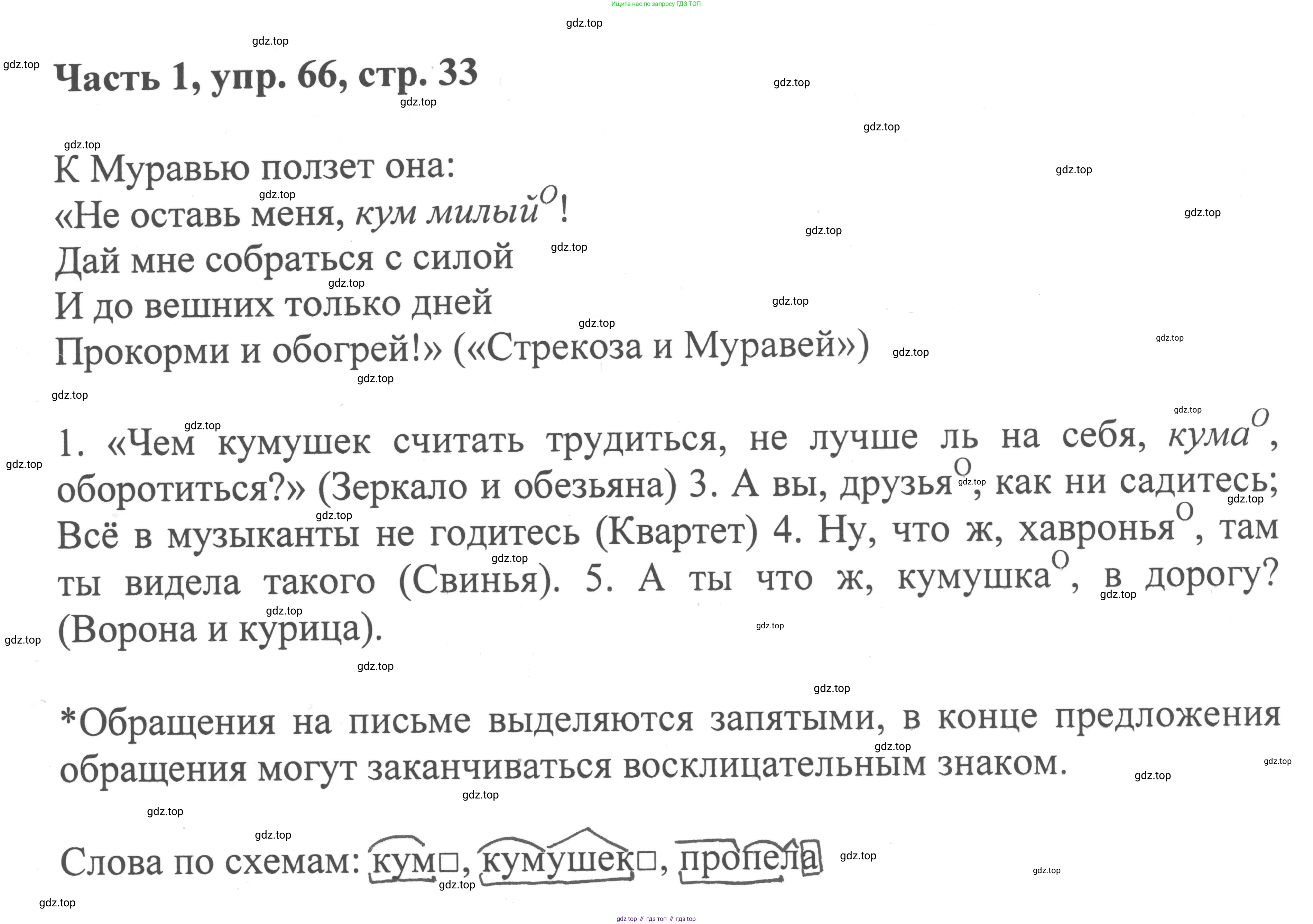 ГДЗ Русский язык, 6 класс Учебник, авторы: Баранов Михаил Трофимович, Ладыженская Таиса Алексеевна, Тростенцова Лидия Александровна, Ладыженская Наталия Вениаминовна, Дейкина Алевтина Дмитриевна, Антонова Любовь Геннадиевна, Григорян Лариса Трофимовна, Кулибаба Иван Иванович, издательство Просвещение, Москва, 2023, салатового цвета, Часть 1, страница 33, номер 66, Решение 2