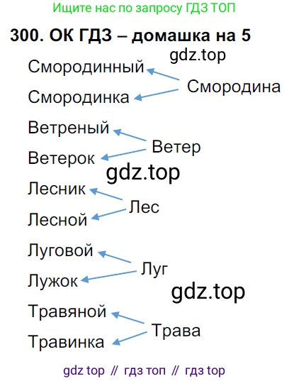 ГДЗ Русский язык, 6 класс Учебник, авторы: Баранов Михаил Трофимович, Ладыженская Таиса Алексеевна, Тростенцова Лидия Александровна, Ладыженская Наталия Вениаминовна, Дейкина Алевтина Дмитриевна, Антонова Любовь Геннадиевна, Григорян Лариса Трофимовна, Кулибаба Иван Иванович, издательство Просвещение, Москва, 2023, салатового цвета, Часть 1, страница 157, номер 300, Решение 3