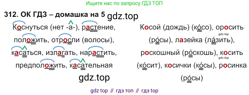 ГДЗ Русский язык, 6 класс Учебник, авторы: Баранов Михаил Трофимович, Ладыженская Таиса Алексеевна, Тростенцова Лидия Александровна, Ладыженская Наталия Вениаминовна, Дейкина Алевтина Дмитриевна, Антонова Любовь Геннадиевна, Григорян Лариса Трофимовна, Кулибаба Иван Иванович, издательство Просвещение, Москва, 2023, салатового цвета, Часть 1, страница 162, номер 312, Решение 3