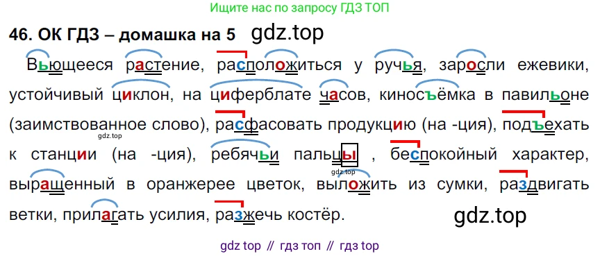 ГДЗ Русский язык, 6 класс Учебник, авторы: Баранов Михаил Трофимович, Ладыженская Таиса Алексеевна, Тростенцова Лидия Александровна, Ладыженская Наталия Вениаминовна, Дейкина Алевтина Дмитриевна, Антонова Любовь Геннадиевна, Григорян Лариса Трофимовна, Кулибаба Иван Иванович, издательство Просвещение, Москва, 2023, салатового цвета, Часть 1, страница 21, номер 46, Решение 3