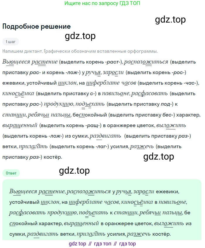 ГДЗ Русский язык, 6 класс Учебник, авторы: Баранов Михаил Трофимович, Ладыженская Таиса Алексеевна, Тростенцова Лидия Александровна, Ладыженская Наталия Вениаминовна, Дейкина Алевтина Дмитриевна, Антонова Любовь Геннадиевна, Григорян Лариса Трофимовна, Кулибаба Иван Иванович, издательство Просвещение, Москва, 2023, салатового цвета, Часть 1, страница 21, номер 46, Решение 4