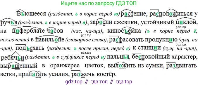 ГДЗ Русский язык, 6 класс Учебник, авторы: Баранов Михаил Трофимович, Ладыженская Таиса Алексеевна, Тростенцова Лидия Александровна, Ладыженская Наталия Вениаминовна, Дейкина Алевтина Дмитриевна, Антонова Любовь Геннадиевна, Григорян Лариса Трофимовна, Кулибаба Иван Иванович, издательство Просвещение, Москва, 2023, салатового цвета, Часть 1, страница 21, номер 46, Решение 5