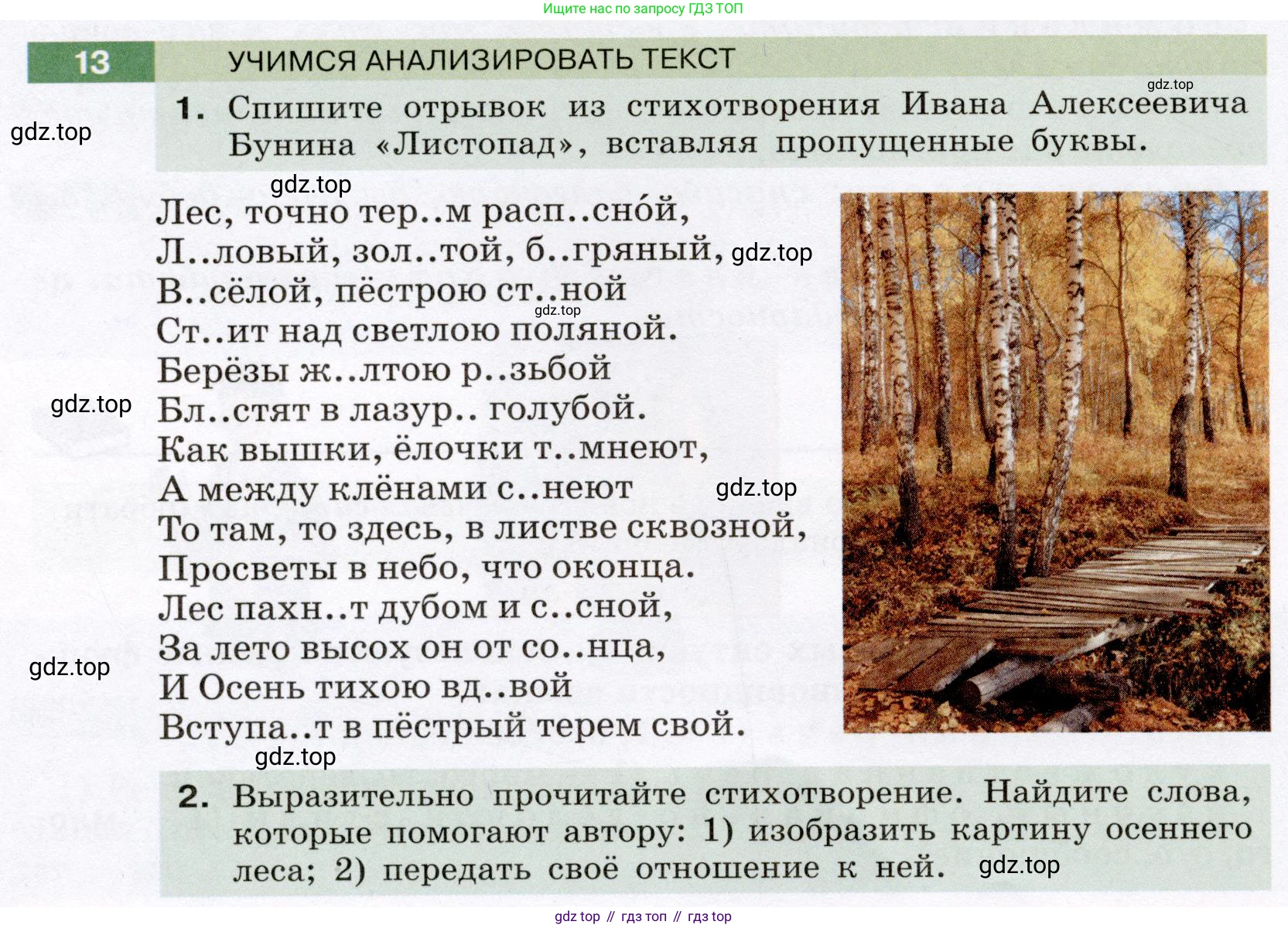 ГДЗ Русский язык, 6 класс Учебник, авторы: Разумовская Маргарита Михайловна, Львова Светлана Ивановна, Капинос Валентина Ивановна, Львов Валентин Витальевич, издательство Просвещение, Москва, 2019 - 2022, белого цвета, Часть 1, страница 10, номер 13, Условие