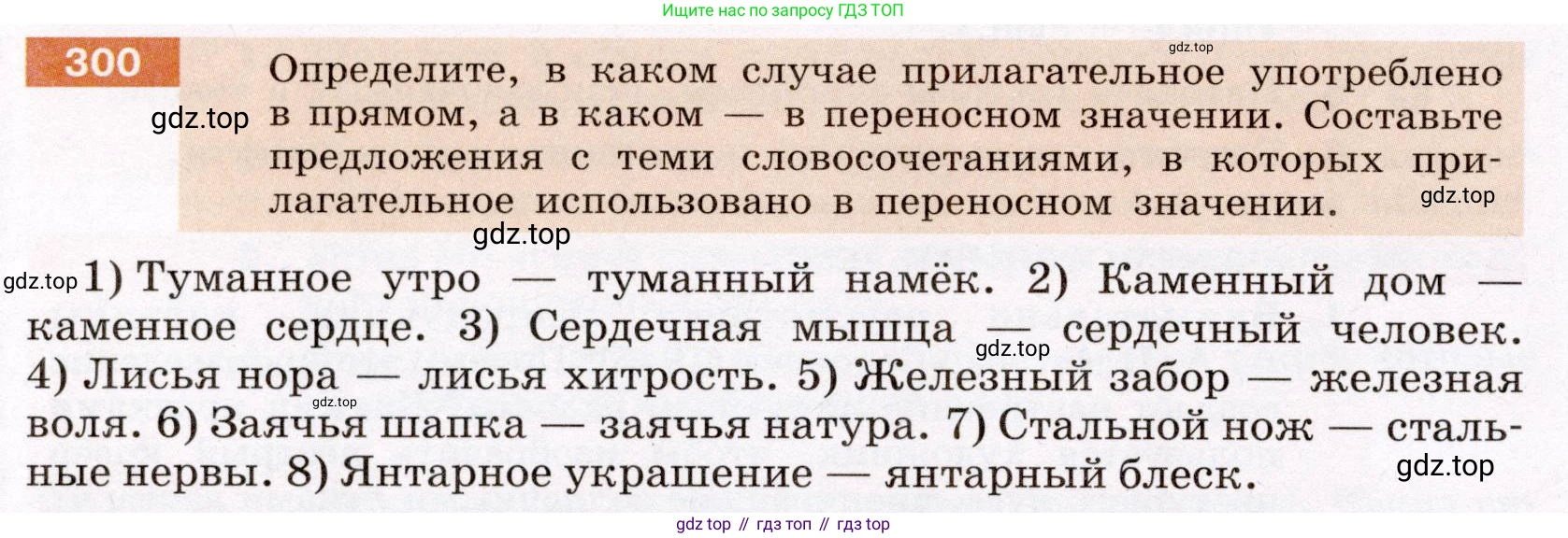 ГДЗ Русский язык, 6 класс Учебник, авторы: Разумовская Маргарита Михайловна, Львова Светлана Ивановна, Капинос Валентина Ивановна, Львов Валентин Витальевич, издательство Просвещение, Москва, 2019 - 2022, белого цвета, Часть 1, страница 112, номер 300, Условие