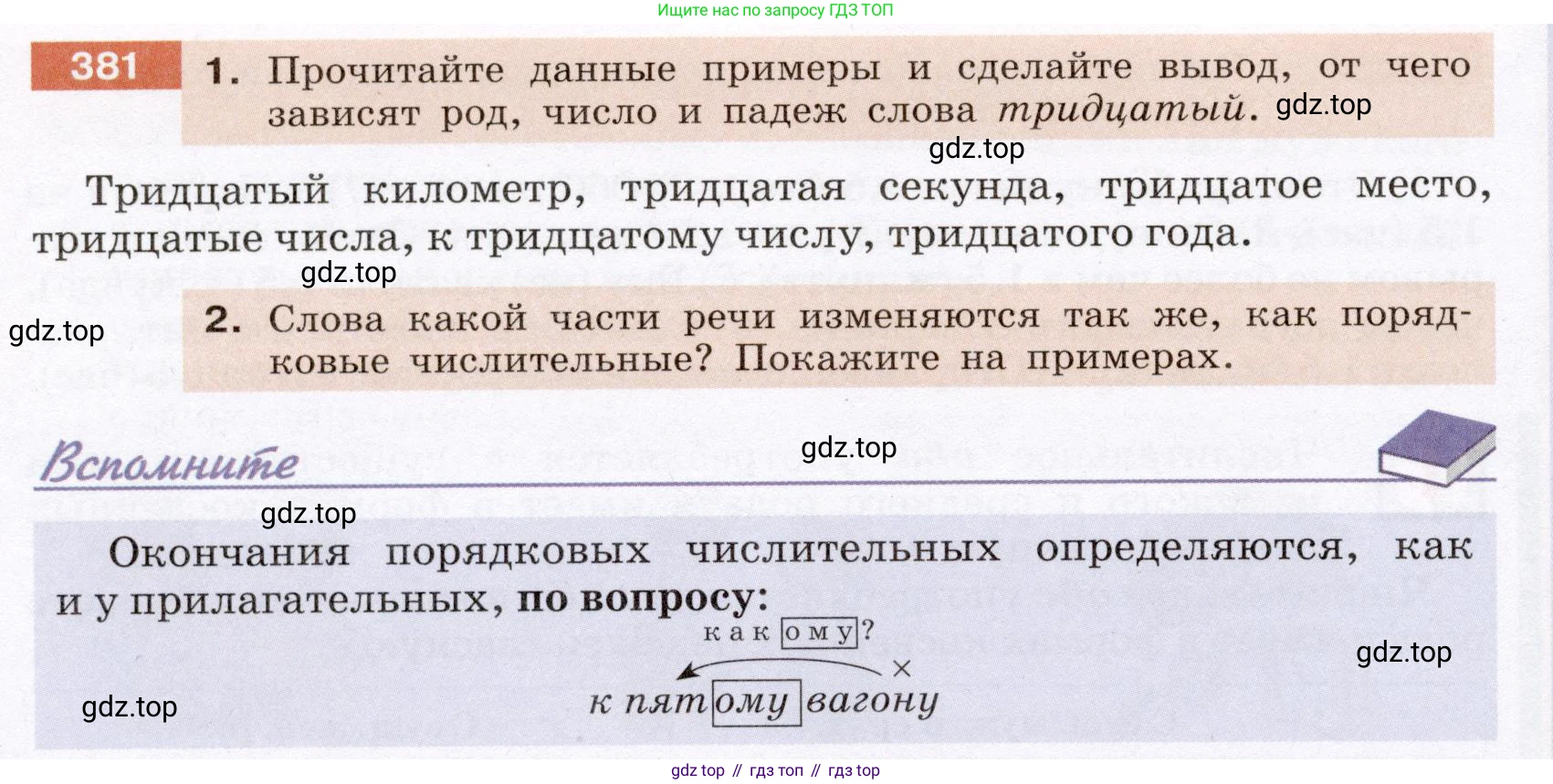 ГДЗ Русский язык, 6 класс Учебник, авторы: Разумовская Маргарита Михайловна, Львова Светлана Ивановна, Капинос Валентина Ивановна, Львов Валентин Витальевич, издательство Просвещение, Москва, 2019 - 2022, белого цвета, Часть 1, страница 138, номер 381, Условие