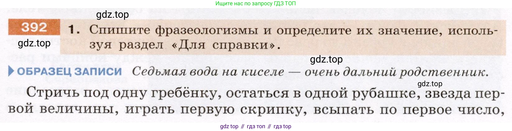 ГДЗ Русский язык, 6 класс Учебник, авторы: Разумовская Маргарита Михайловна, Львова Светлана Ивановна, Капинос Валентина Ивановна, Львов Валентин Витальевич, издательство Просвещение, Москва, 2019 - 2022, белого цвета, Часть 1, страница 141, номер 392, Условие