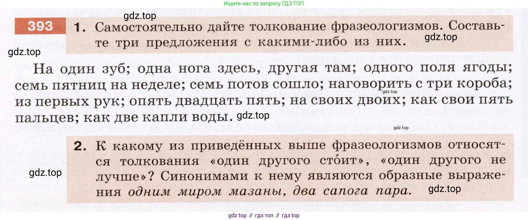 ГДЗ Русский язык, 6 класс Учебник, авторы: Разумовская Маргарита Михайловна, Львова Светлана Ивановна, Капинос Валентина Ивановна, Львов Валентин Витальевич, издательство Просвещение, Москва, 2019 - 2022, белого цвета, Часть 1, страница 142, номер 393, Условие