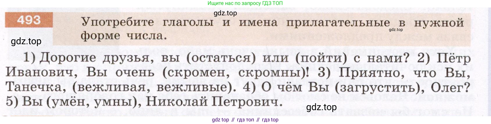 ГДЗ Русский язык, 6 класс Учебник, авторы: Разумовская Маргарита Михайловна, Львова Светлана Ивановна, Капинос Валентина Ивановна, Львов Валентин Витальевич, издательство Просвещение, Москва, 2019 - 2022, белого цвета, Часть 2, страница 28, номер 493, Условие