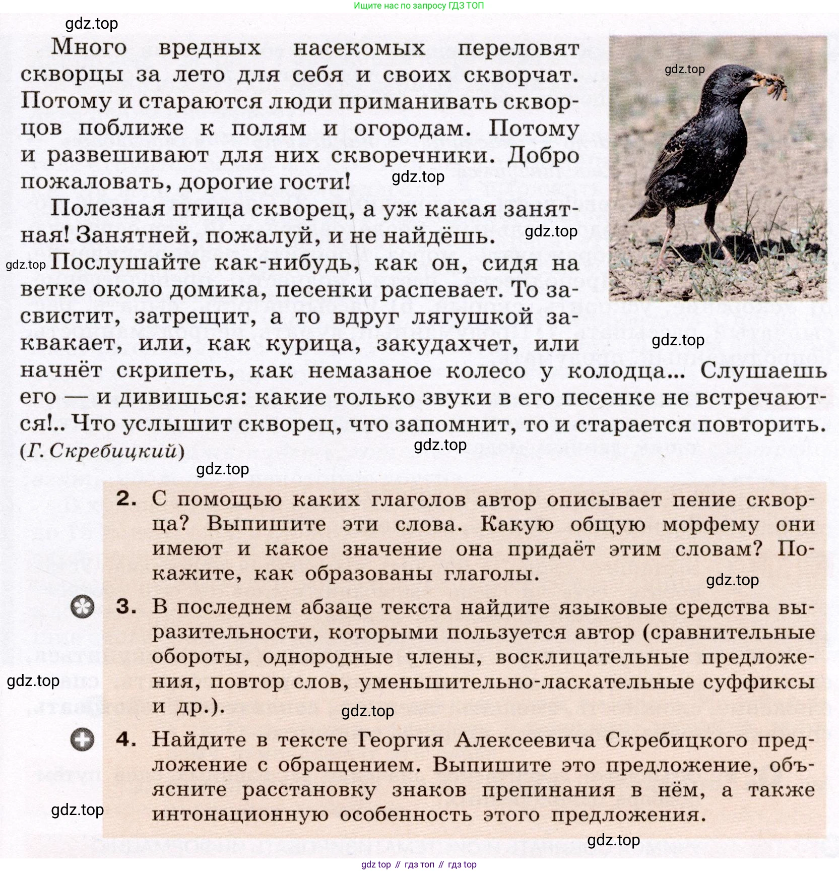 ГДЗ Русский язык, 6 класс Учебник, авторы: Разумовская Маргарита Михайловна, Львова Светлана Ивановна, Капинос Валентина Ивановна, Львов Валентин Витальевич, издательство Просвещение, Москва, 2019 - 2022, белого цвета, Часть 2, страница 36, номер 519, Условие (продолжение 2)
