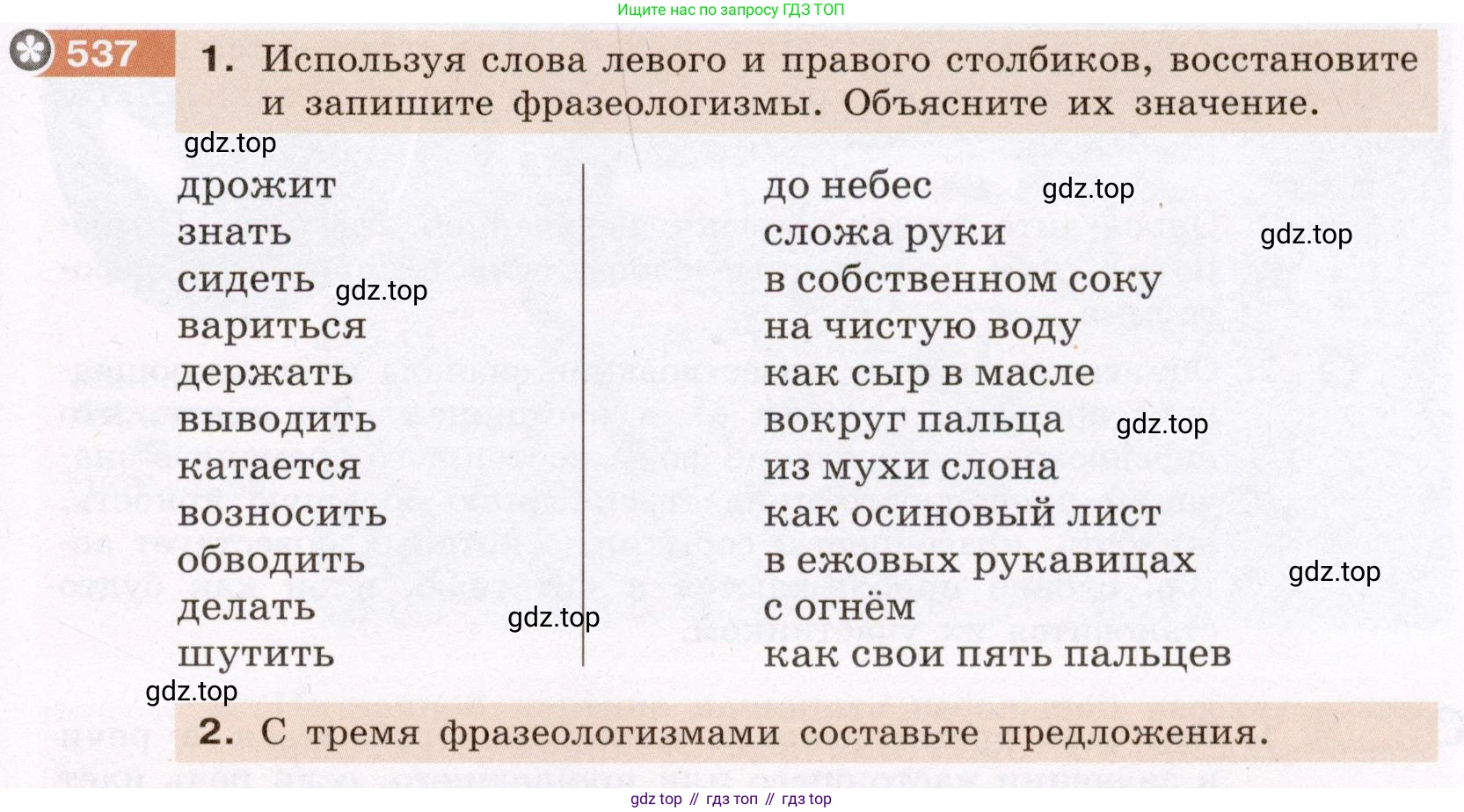 ГДЗ Русский язык, 6 класс Учебник, авторы: Разумовская Маргарита Михайловна, Львова Светлана Ивановна, Капинос Валентина Ивановна, Львов Валентин Витальевич, издательство Просвещение, Москва, 2019 - 2022, белого цвета, Часть 2, страница 43, номер 537, Условие
