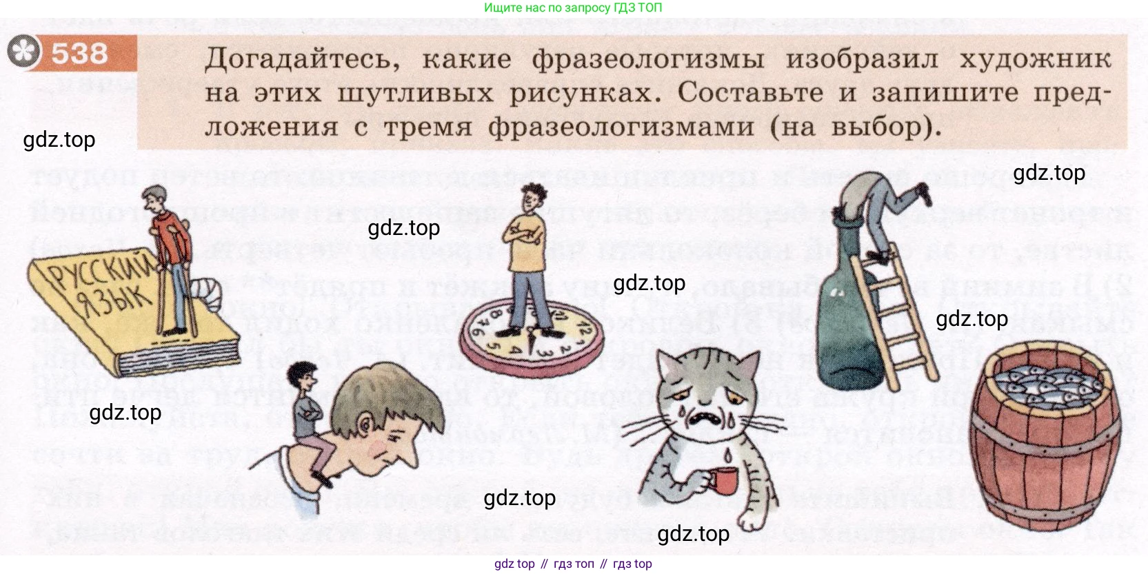 ГДЗ Русский язык, 6 класс Учебник, авторы: Разумовская Маргарита Михайловна, Львова Светлана Ивановна, Капинос Валентина Ивановна, Львов Валентин Витальевич, издательство Просвещение, Москва, 2019 - 2022, белого цвета, Часть 2, страница 43, номер 538, Условие