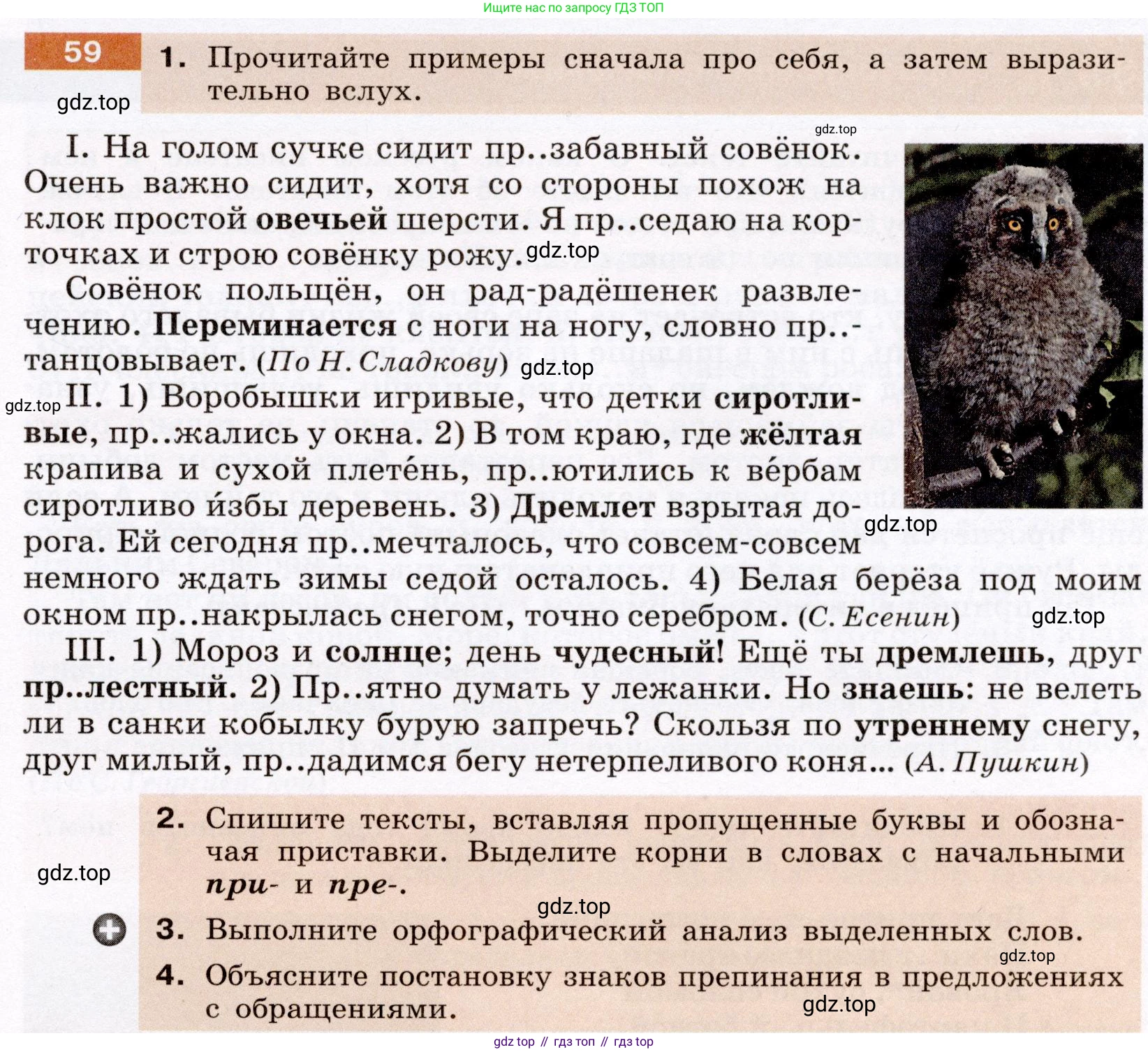 ГДЗ Русский язык, 6 класс Учебник, авторы: Разумовская Маргарита Михайловна, Львова Светлана Ивановна, Капинос Валентина Ивановна, Львов Валентин Витальевич, издательство Просвещение, Москва, 2019 - 2022, белого цвета, Часть 1, страница 25, номер 59, Условие