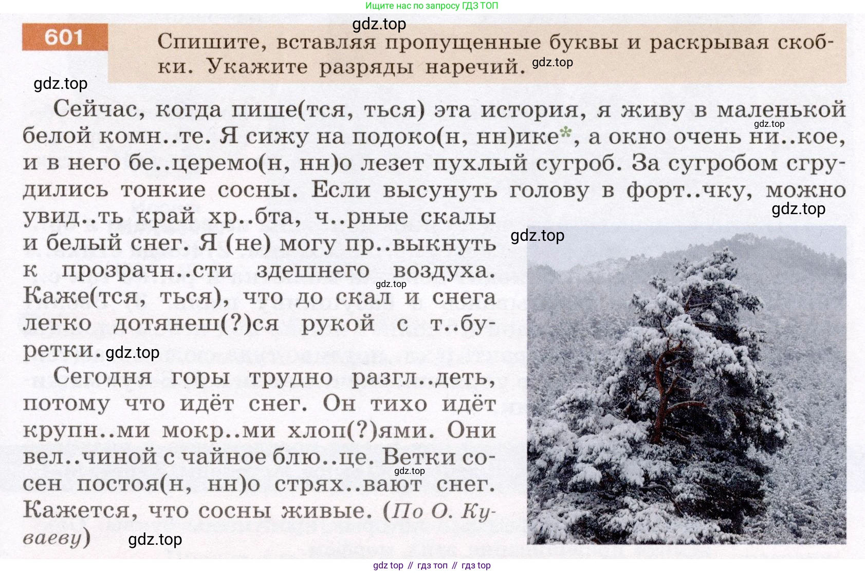 ГДЗ Русский язык, 6 класс Учебник, авторы: Разумовская Маргарита Михайловна, Львова Светлана Ивановна, Капинос Валентина Ивановна, Львов Валентин Витальевич, издательство Просвещение, Москва, 2019 - 2022, белого цвета, Часть 2, страница 73, номер 601, Условие