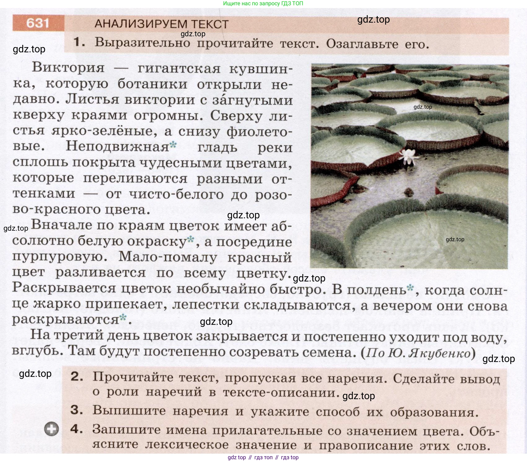 ГДЗ Русский язык, 6 класс Учебник, авторы: Разумовская Маргарита Михайловна, Львова Светлана Ивановна, Капинос Валентина Ивановна, Львов Валентин Витальевич, издательство Просвещение, Москва, 2019 - 2022, белого цвета, Часть 2, страница 85, номер 631, Условие