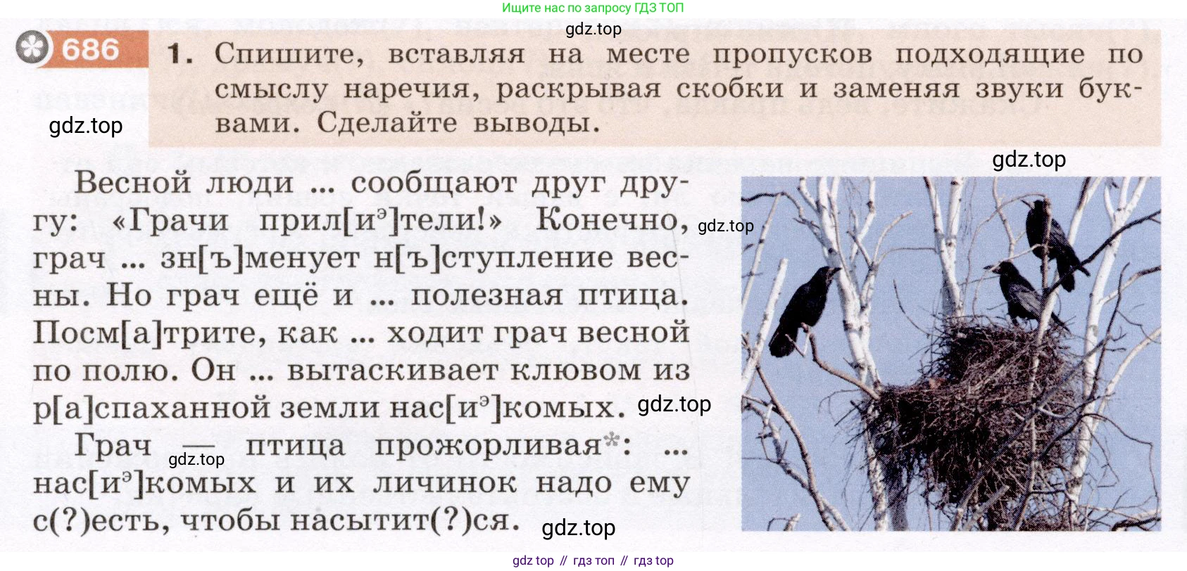 ГДЗ Русский язык, 6 класс Учебник, авторы: Разумовская Маргарита Михайловна, Львова Светлана Ивановна, Капинос Валентина Ивановна, Львов Валентин Витальевич, издательство Просвещение, Москва, 2019 - 2022, белого цвета, Часть 2, страница 110, номер 686, Условие