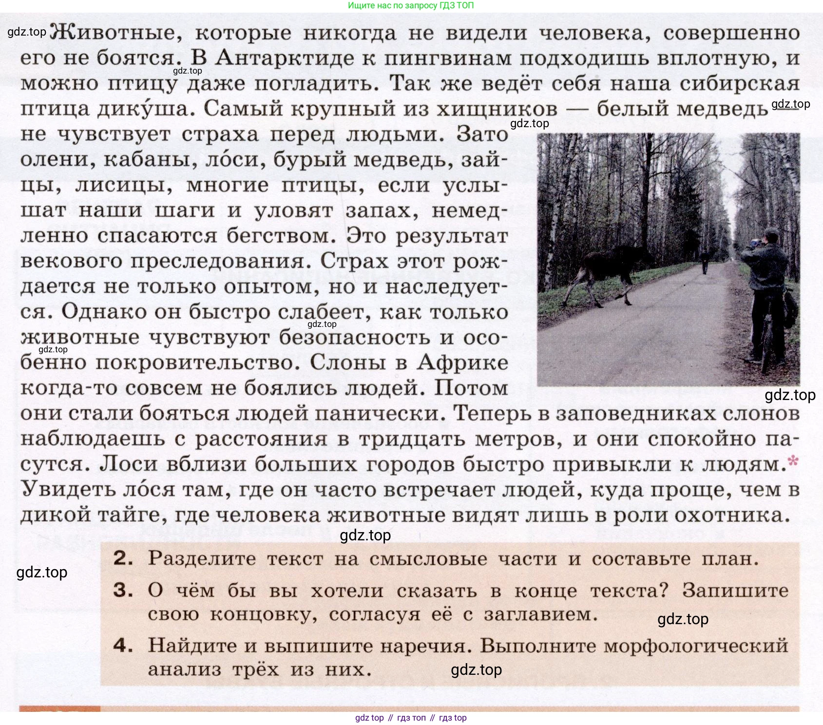 ГДЗ Русский язык, 6 класс Учебник, авторы: Разумовская Маргарита Михайловна, Львова Светлана Ивановна, Капинос Валентина Ивановна, Львов Валентин Витальевич, издательство Просвещение, Москва, 2019 - 2022, белого цвета, Часть 2, страница 116, номер 704, Условие (продолжение 2)