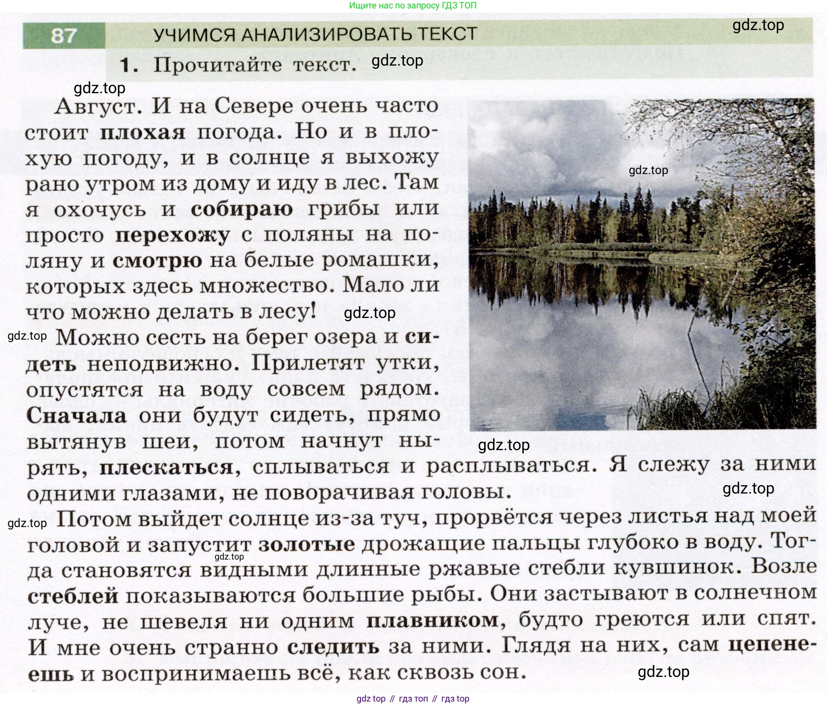 ГДЗ Русский язык, 6 класс Учебник, авторы: Разумовская Маргарита Михайловна, Львова Светлана Ивановна, Капинос Валентина Ивановна, Львов Валентин Витальевич, издательство Просвещение, Москва, 2019 - 2022, белого цвета, Часть 1, страница 35, номер 87, Условие
