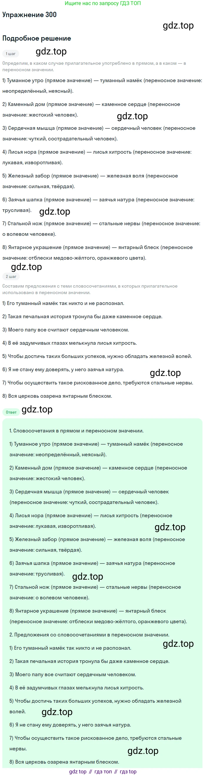 ГДЗ Русский язык, 6 класс Учебник, авторы: Разумовская Маргарита Михайловна, Львова Светлана Ивановна, Капинос Валентина Ивановна, Львов Валентин Витальевич, издательство Просвещение, Москва, 2019 - 2022, белого цвета, Часть 1, страница 112, номер 300, Решение 1