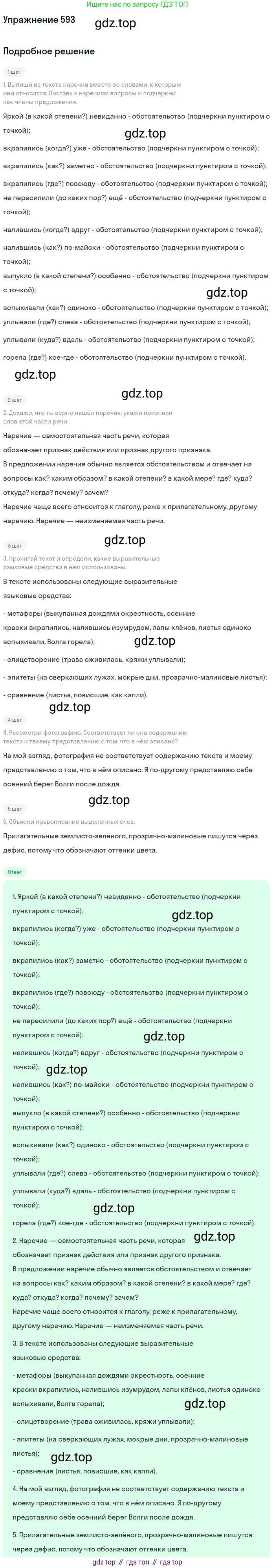 ГДЗ Русский язык, 6 класс Учебник, авторы: Разумовская Маргарита Михайловна, Львова Светлана Ивановна, Капинос Валентина Ивановна, Львов Валентин Витальевич, издательство Просвещение, Москва, 2019 - 2022, белого цвета, Часть 2, страница 68, номер 593, Решение 1